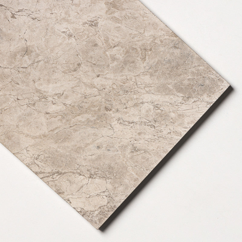 SILVER SHADOW : Rectangle Field Tile (honed | 12"x24"x1/2" | straight cut)