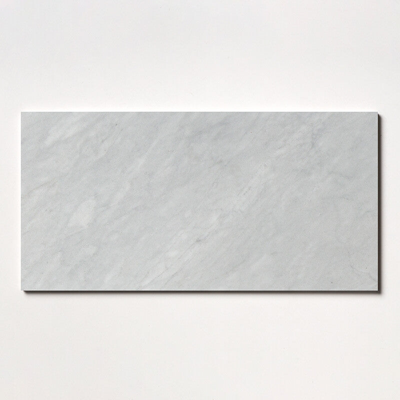 AVENZA : Rectangle Field Tile (honed | 12"x24"x1/2" | straight cut)