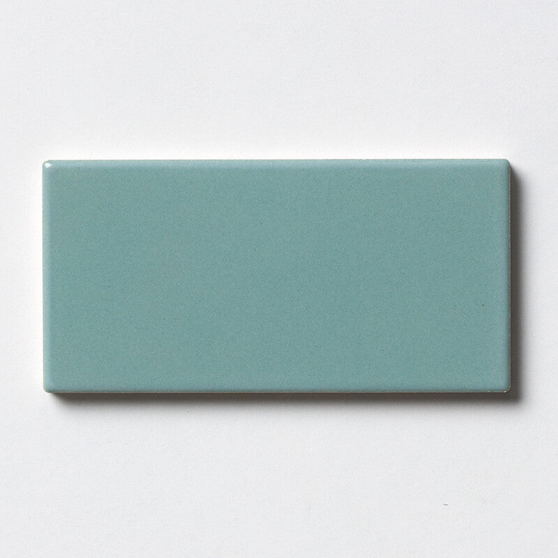 STATUS CERAMIC: Witty Rectangle Field Tile (glossy | 3"x6"x3/8" | beveled)