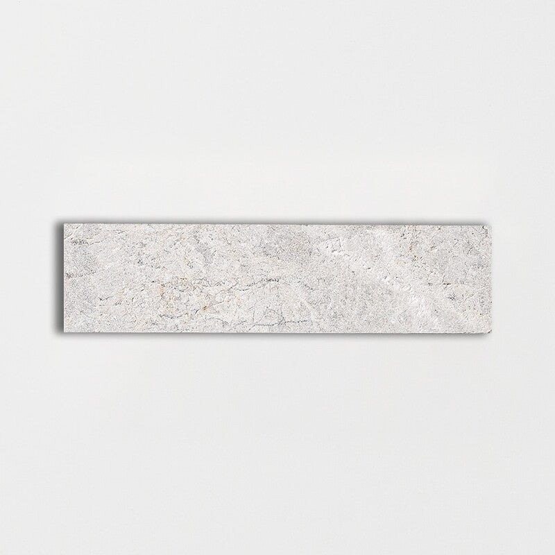 LONG SUBWAY: Silver Shadow Rectangle Field Tile (leather | 2"x8"x1/2" | straight cut)