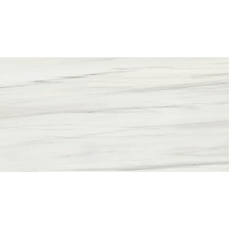 ELEGANTE PORCELAIN: Carrara Zebrino Rectangle Field Tile (honed | 24"x48"x3/8" | straight cut)