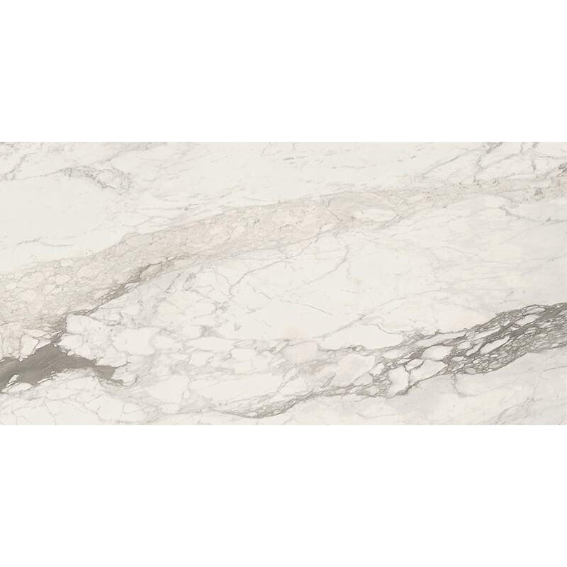 ELEGANTE PORCELAIN: Calacatta Renoire Rectangle Field Tile (polished | 24"x48"x3/8" | straight cut)