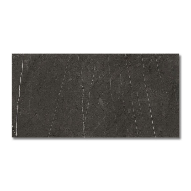 DREAMING PORCELAIN: Stone Rectangle Field Tile (polished | 12"x24"x25/64" | straight cut)