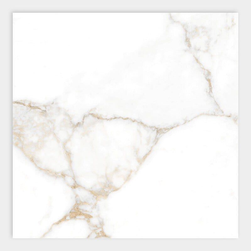 DELIGHT PORCELAIN: Calacatta Oro Square Field Tile (polished | 24"x24"x3/8" | rectified)