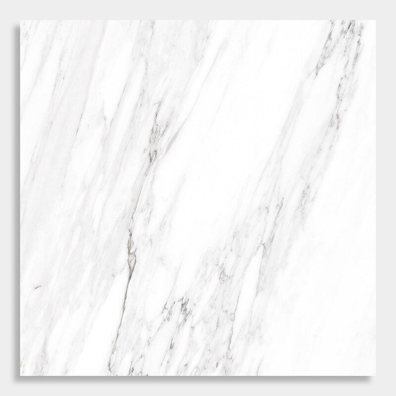 DELIGHT PORCELAIN: Venato Bianco Square Field Tile (polished | 24"x24"x3/8" | rectified)