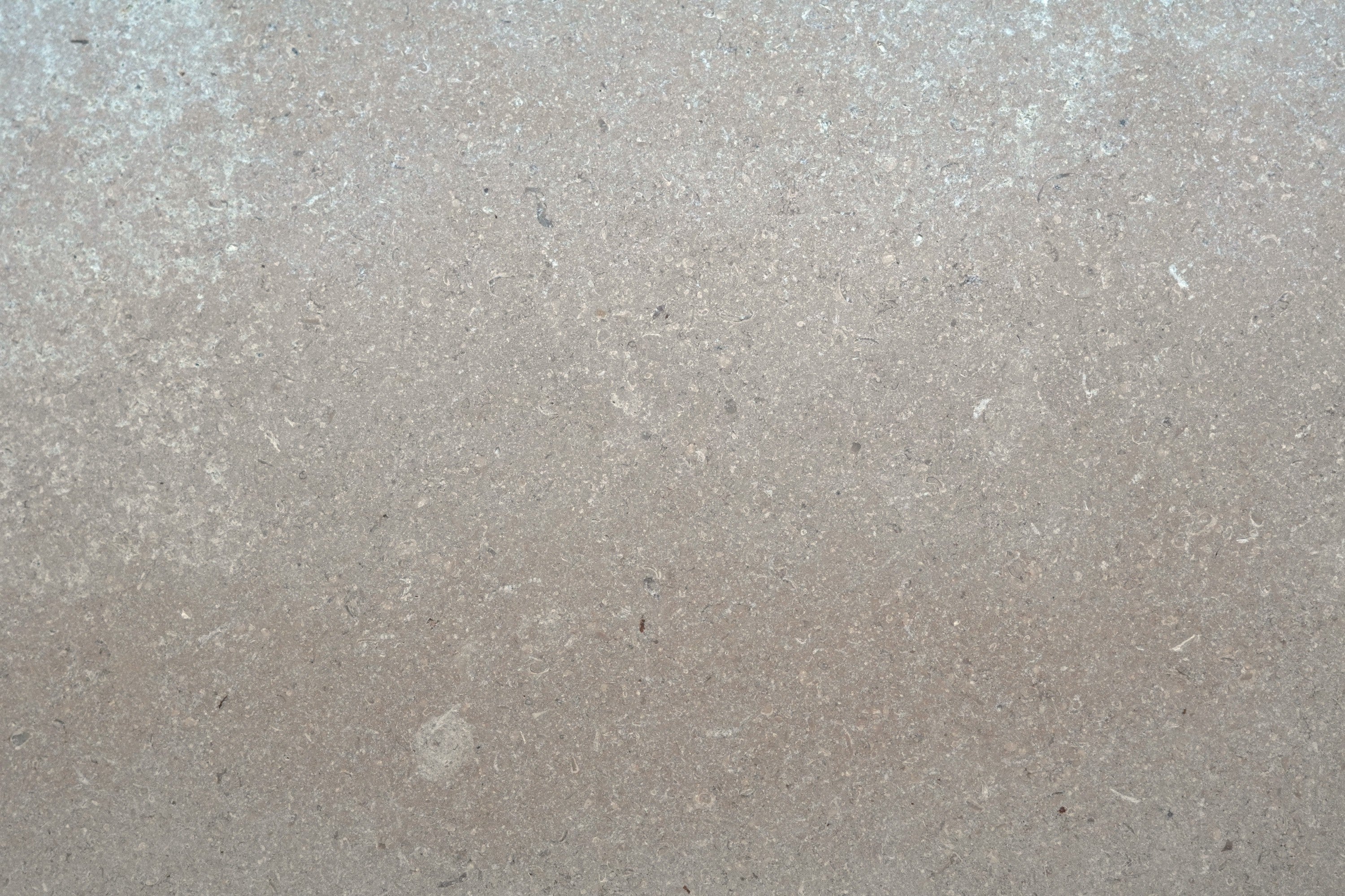 beige tumbled natural limestone field tile champagne taupe width of 16 length of 16 and thickness of 0.625 sold to you by surface group international