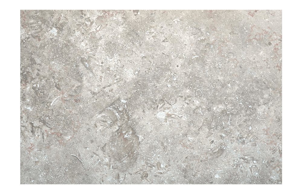 JERUSALEM GREY&GOLD: C18 Dome Liner Limestone Tile Accessory (3&4"x12"x3&4" | honed)