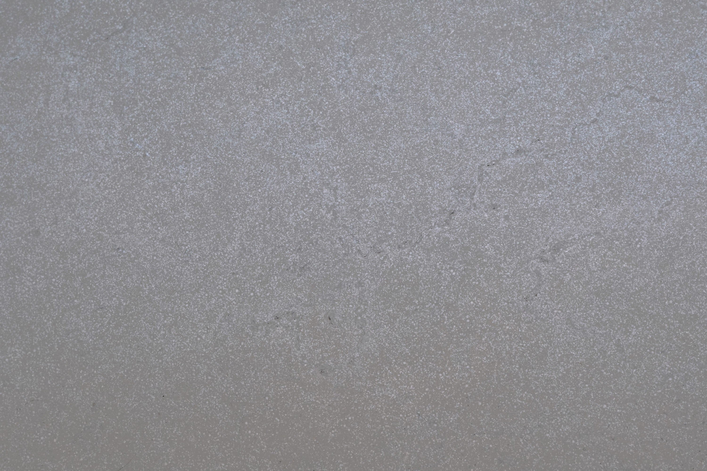 gray timeworn natural limestone field tile nazare taupe width of 12 length of 24 and thickness of 0.625 sold to you by surface group international