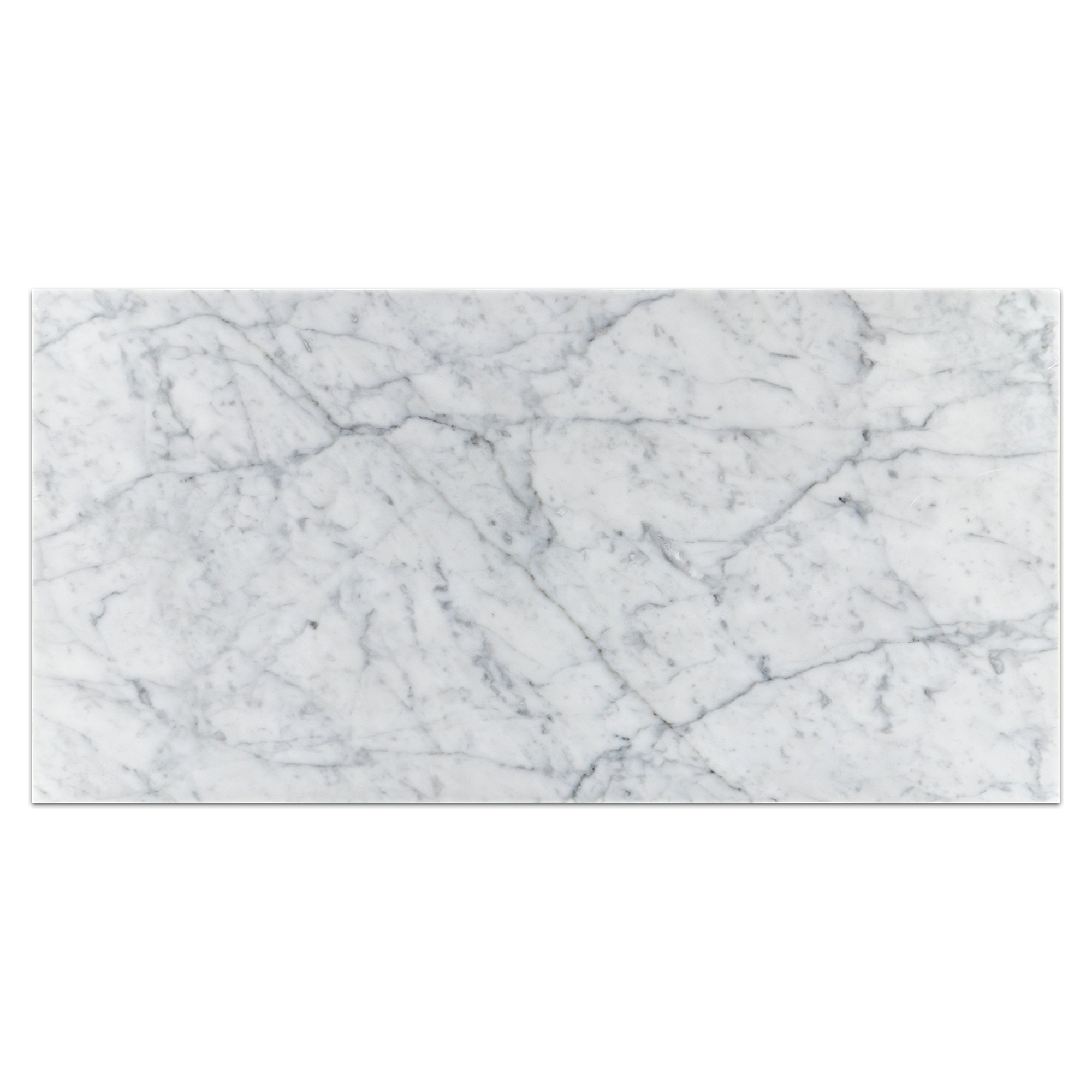 Elon Bianco Carrara Marble Rectangle Field Tile 12x24x0.375 Honed - Surface Group International
