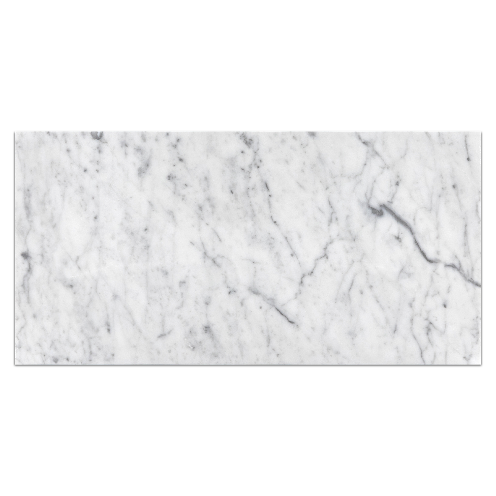 Elon Bianco Carrara Marble Rectangle Field Tile 12x24x0.375 Polished - Surface Group International Product