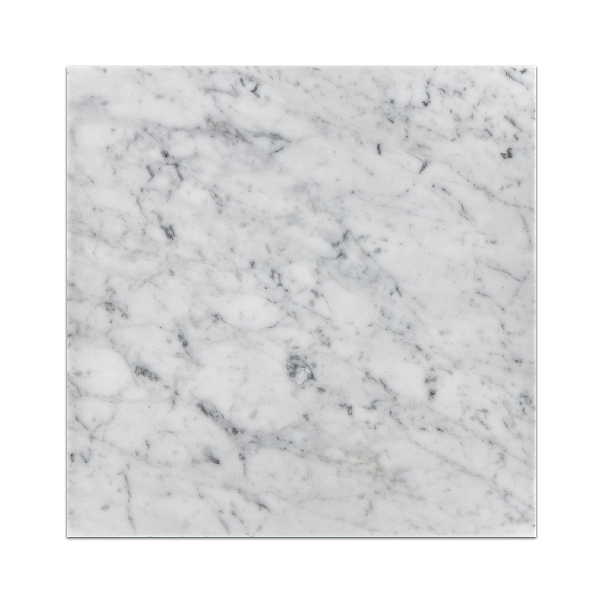 Elon Bianco Carrara Marble Square Field Tile 12x12x0.375 Honed - Surface Group International