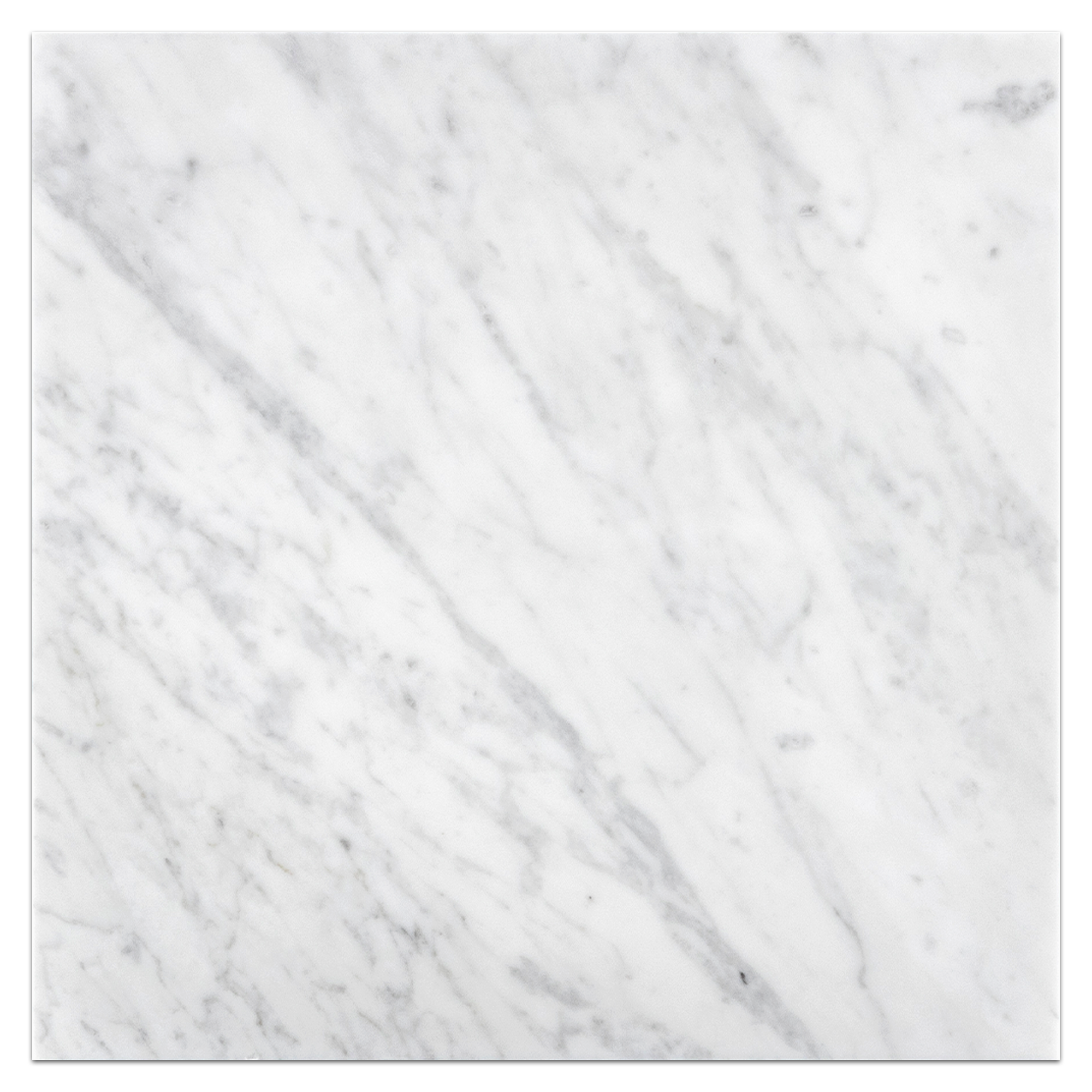 Elon Bianco Carrara Marble Square Field Tile 18x18x0.375 Honed - Surface Group International