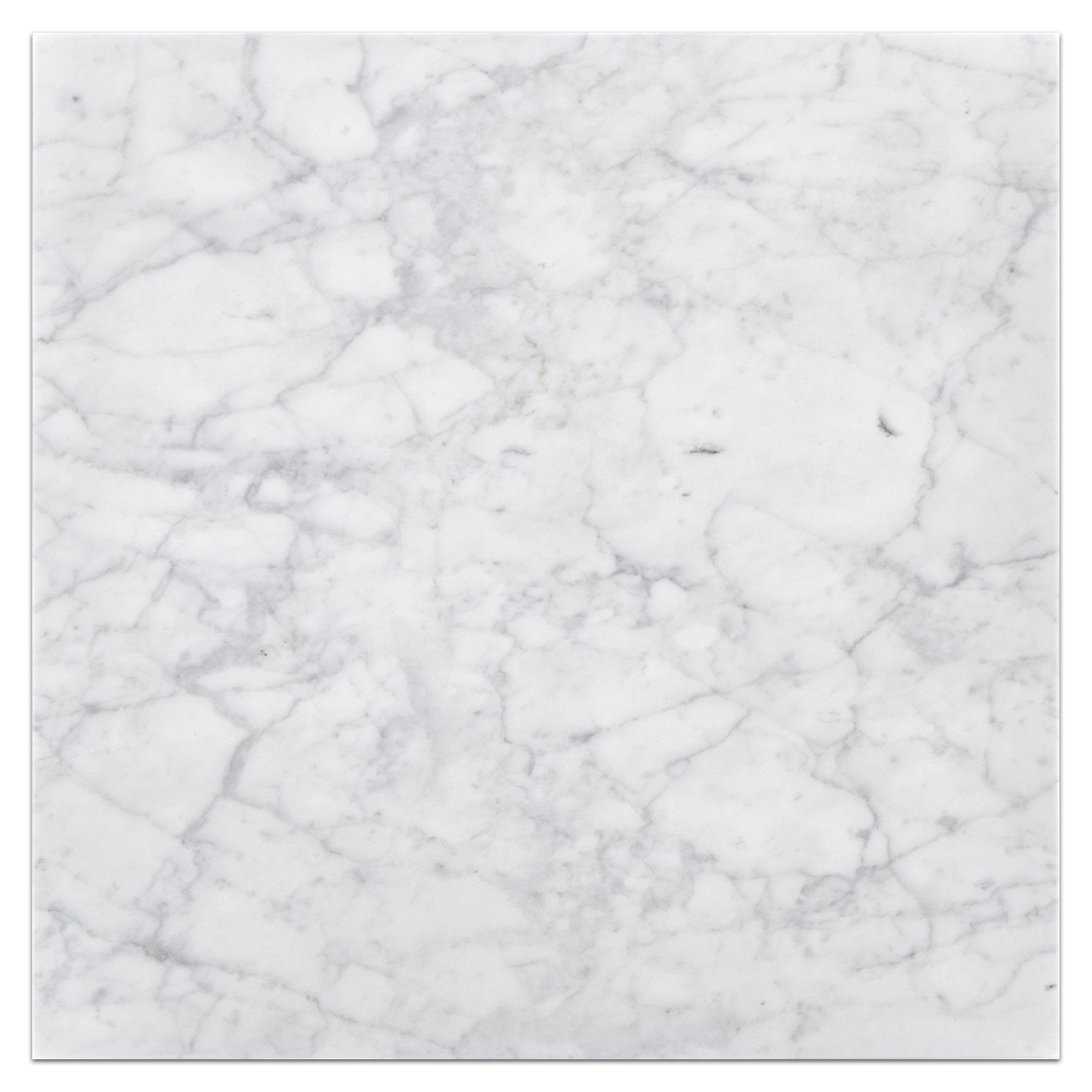 Elon Bianco Carrara Marble Square Field Tile 18x18x0.375 Polished - Surface Group International