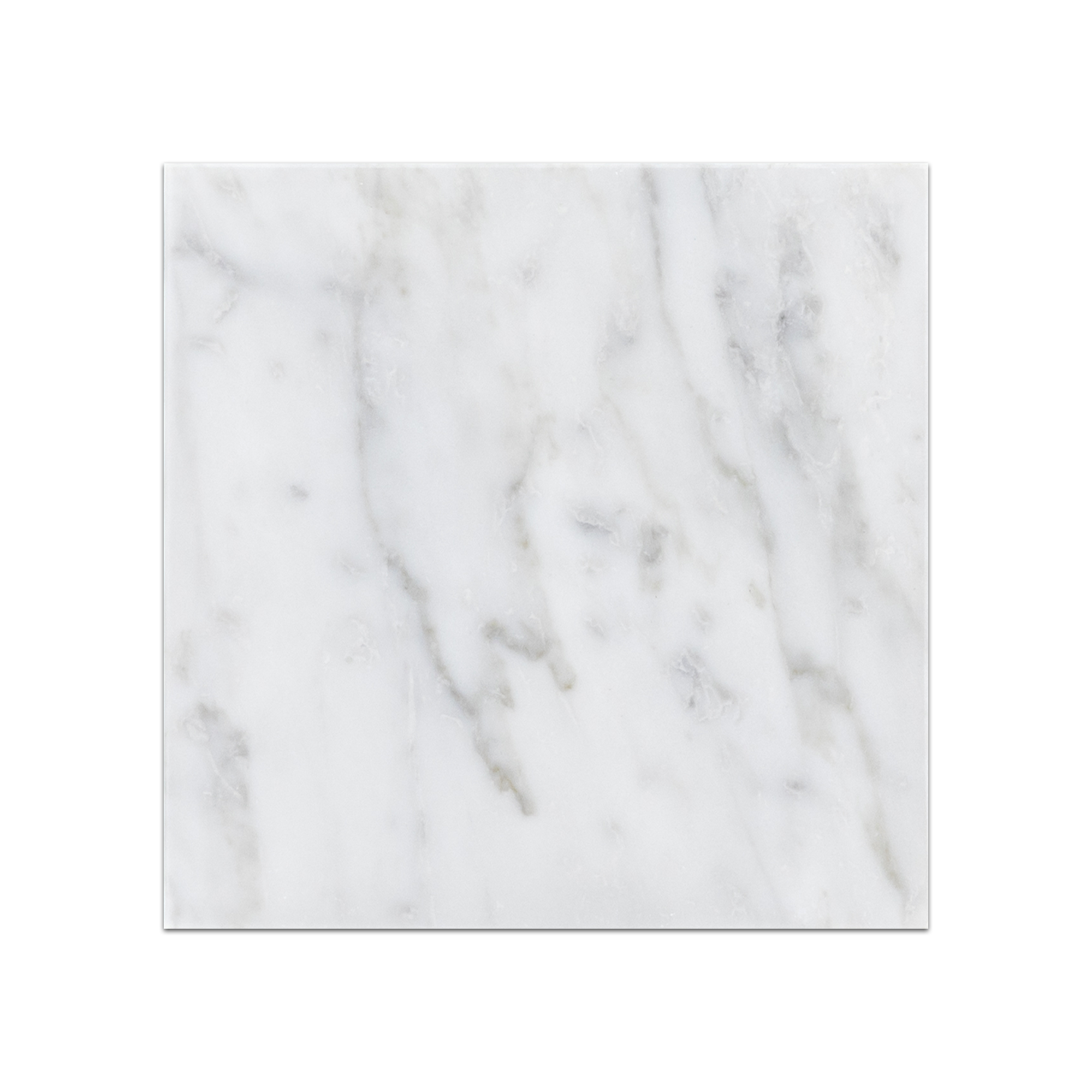Elon Bianco Carrara Marble Square Field Tile 6x6x0.375 Honed - Surface Group International