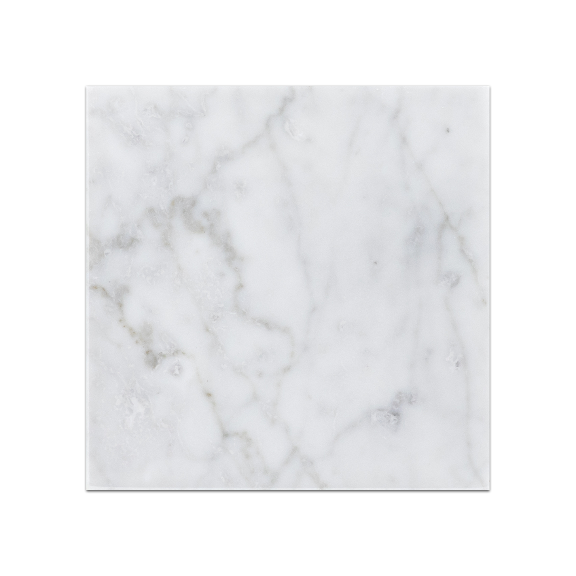 Elon Bianco Carrara Marble Square Field Tile 6x6x0.375 Polished - Surface Group International