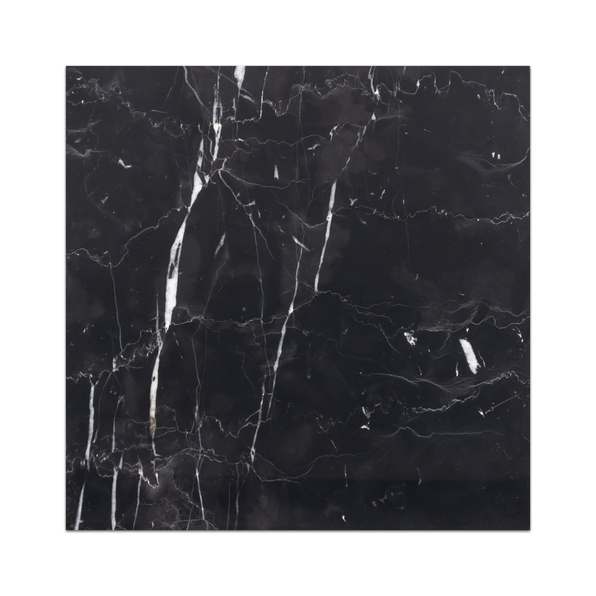 Elon black marble square field tile 12x12x0.375 polished for sale at Surface Group Online tile store