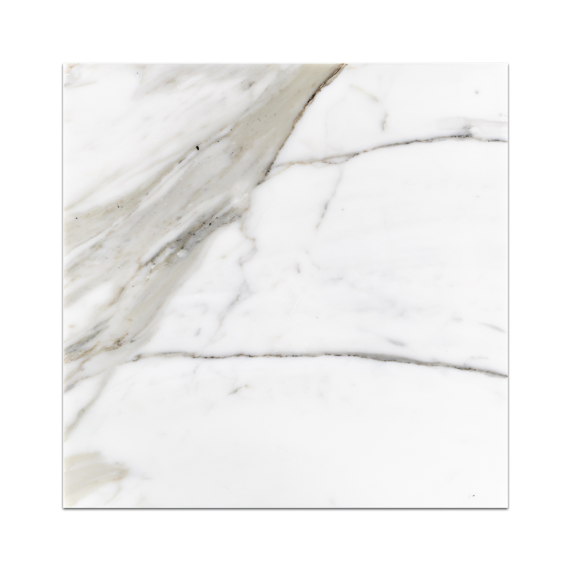 Elon Calacatta Gold Marble Square Field Tile 12x12x0.375 Honed - Surface Group International