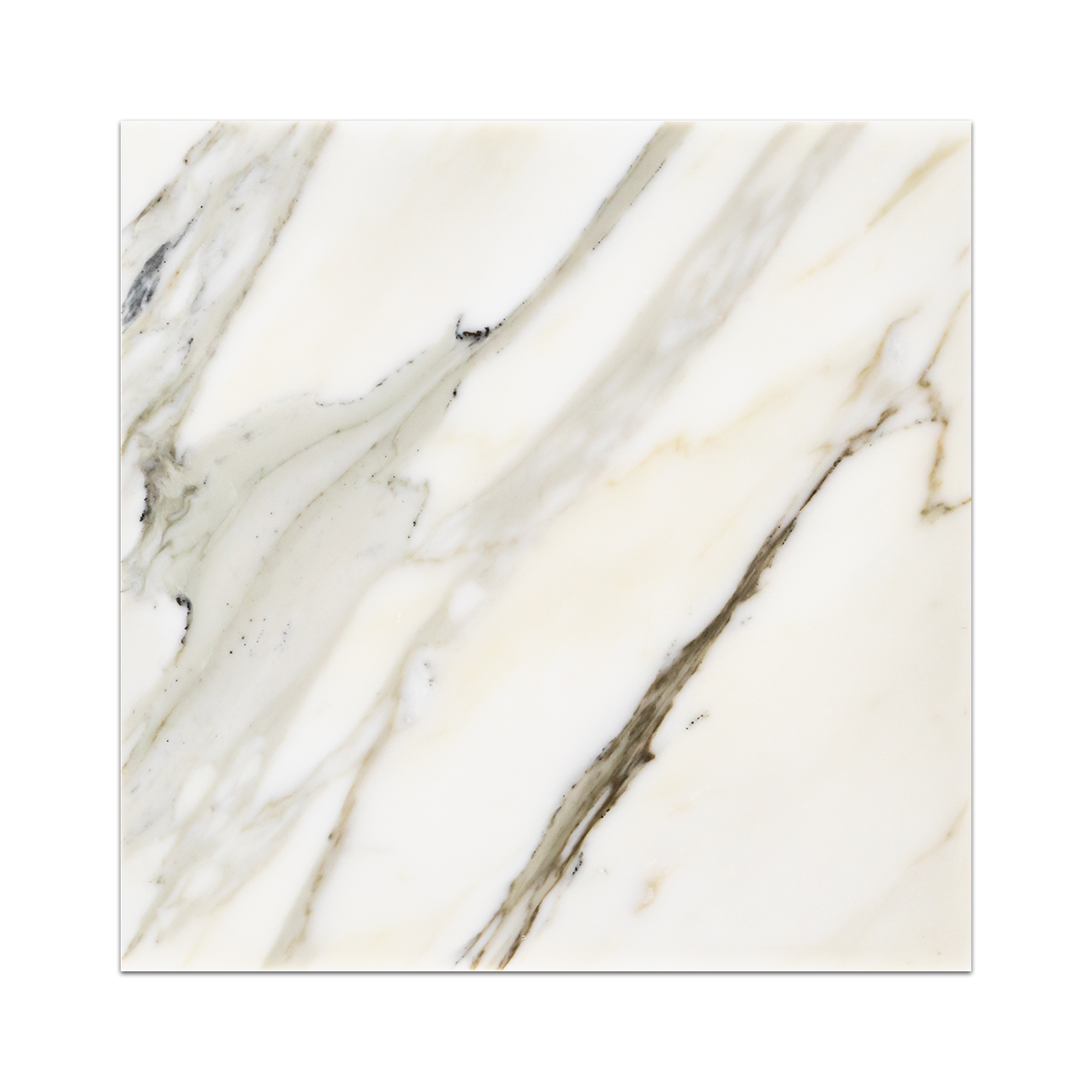 Elon Calacatta Gold Marble Square Field Tile 12x12x0.375 Polished AM9074P Surface Group International Product