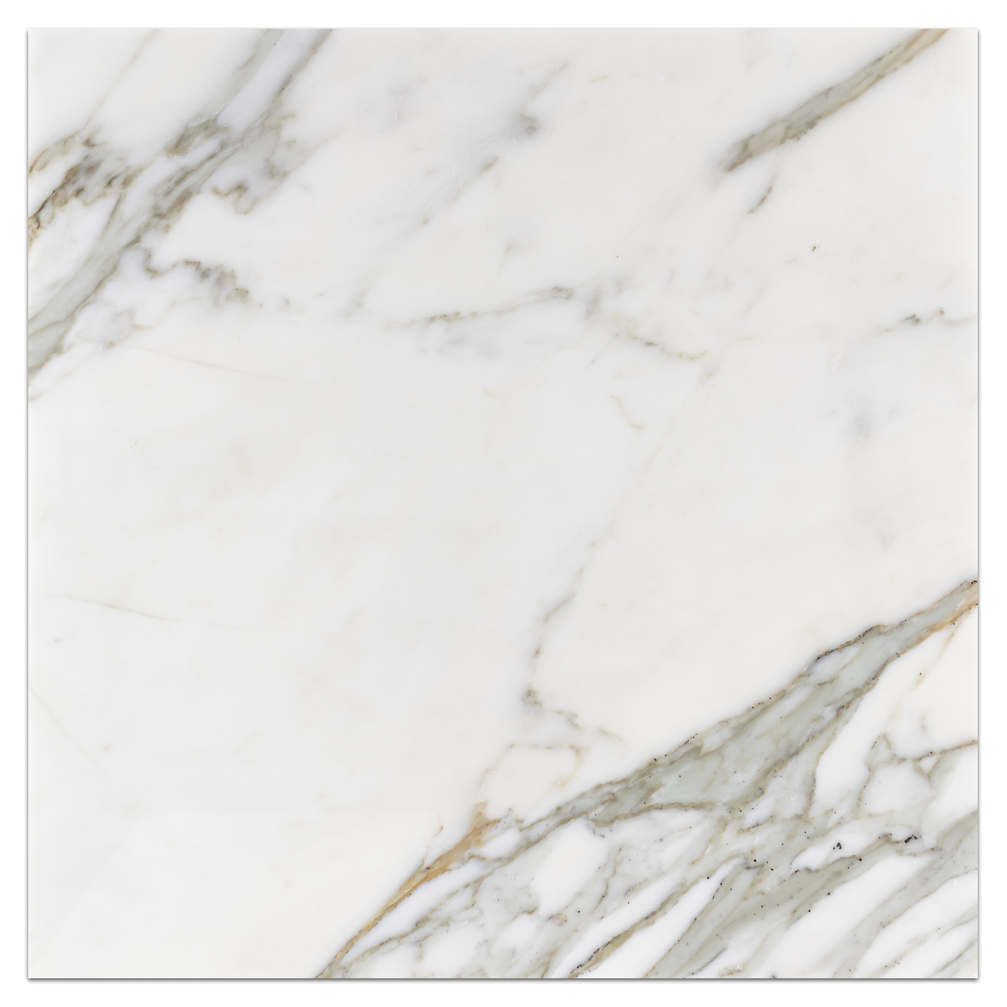 Elon Calacatta Gold Marble Square Field Tile 18x18x0.375 Honed - Surface Group International Product