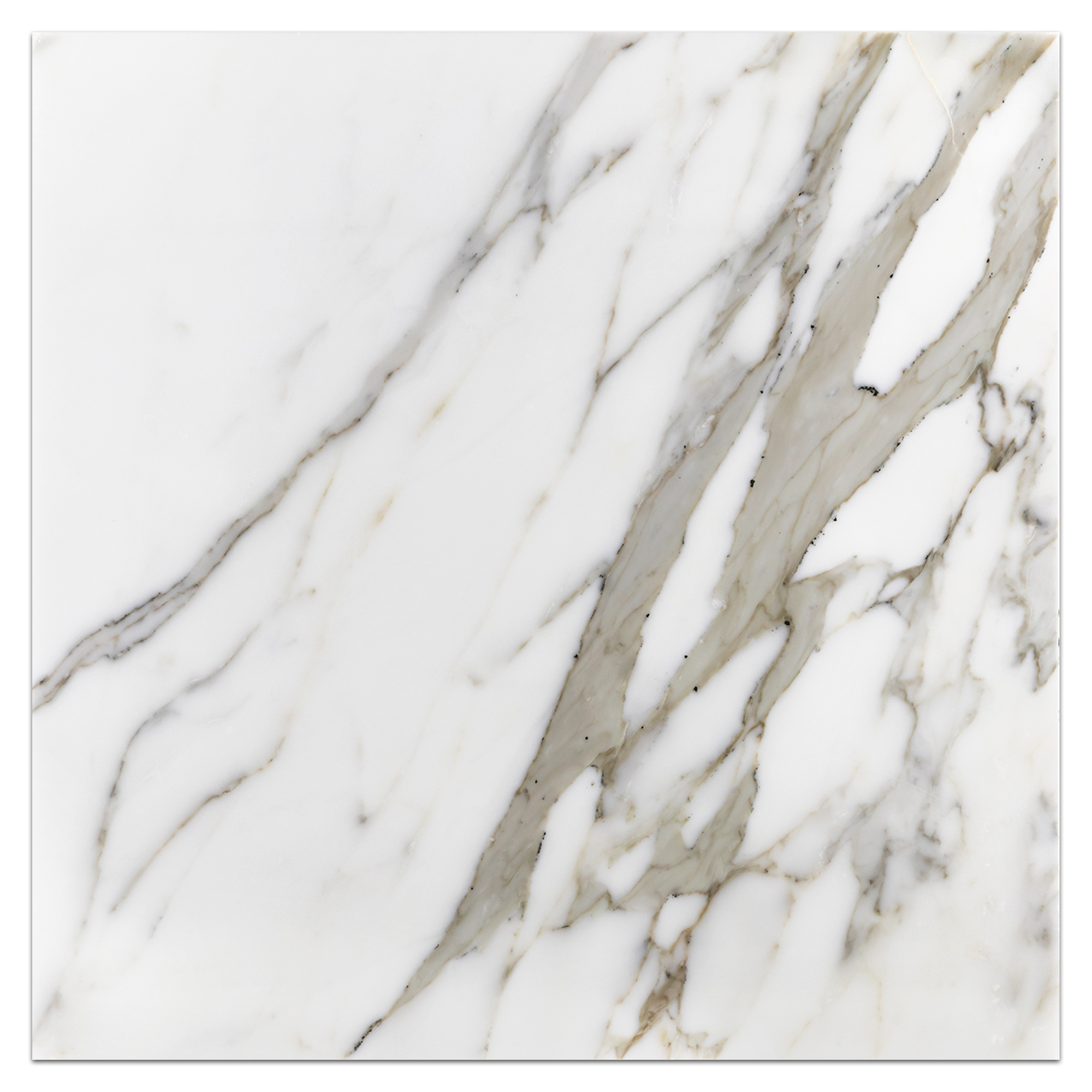 Elon Calacatta Gold Marble Square Field Tile 18x18x0.375 Polished - Surface Group International
