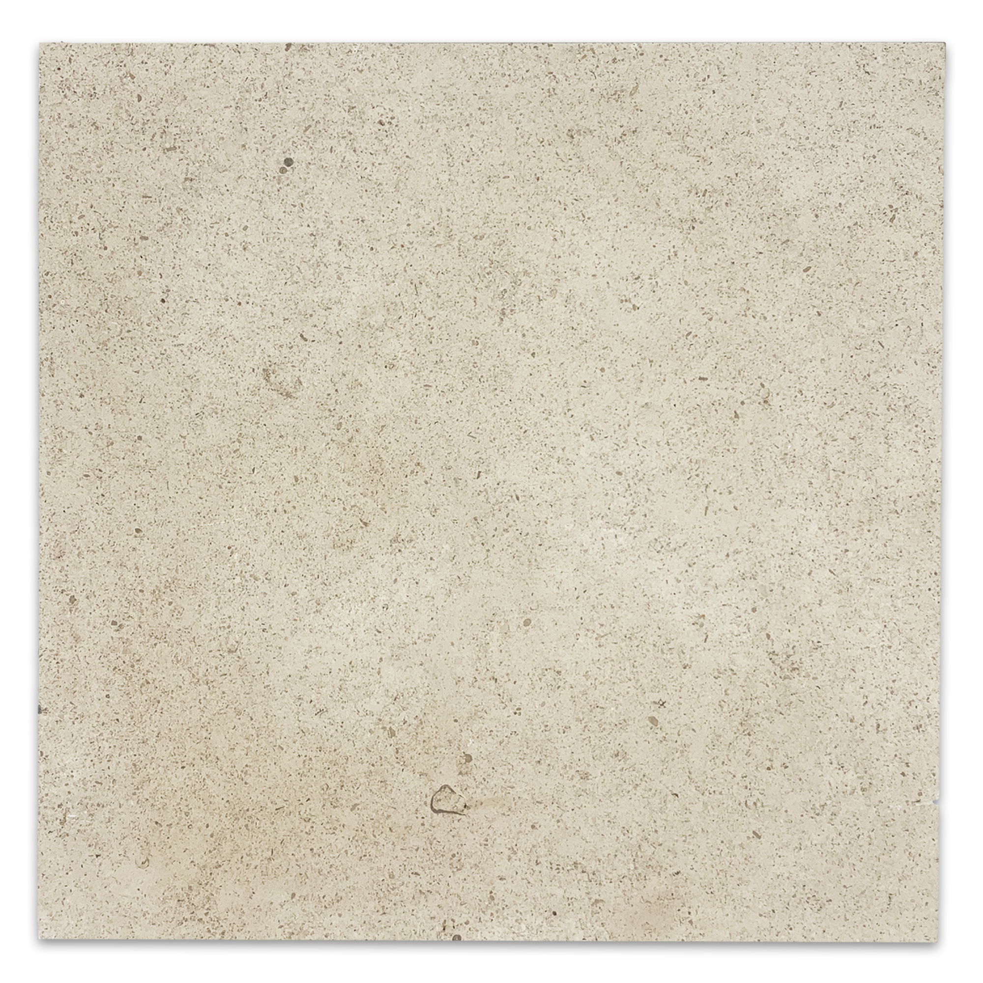 Elon Chateau de Sable Limestone Square Field Tile 16x16x0.375 Honed - Surface Group International