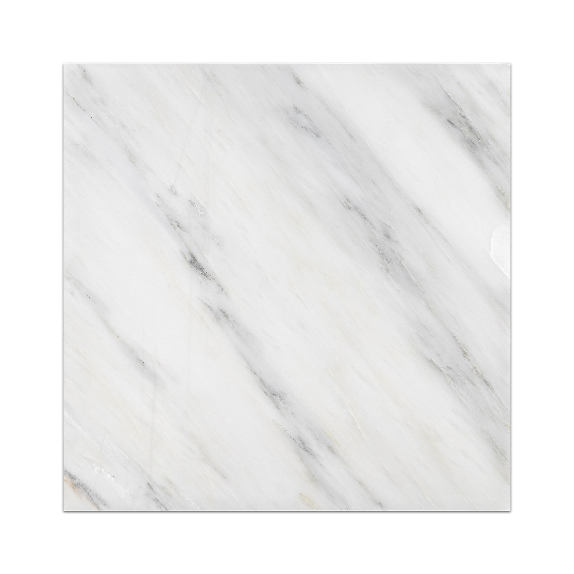 Elon Pearl White Marble Square Field Tile 12x12x0.375 Polished - AM8604P Surface Group International Product