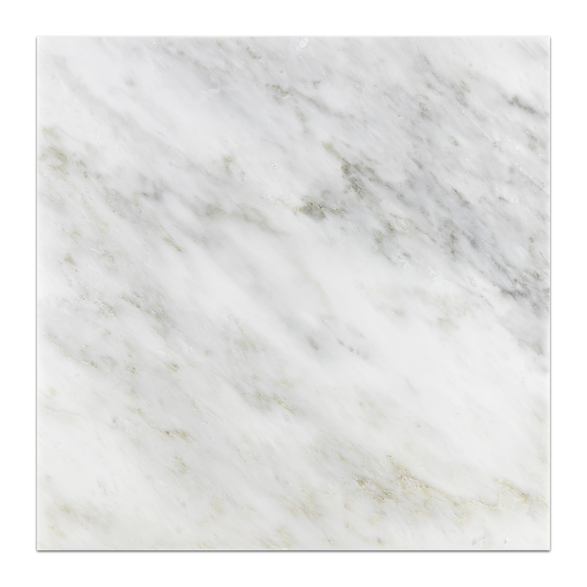 Elon Pearl White Marble Square Field Tile 18x18x0.375 Honed - Surface Group International