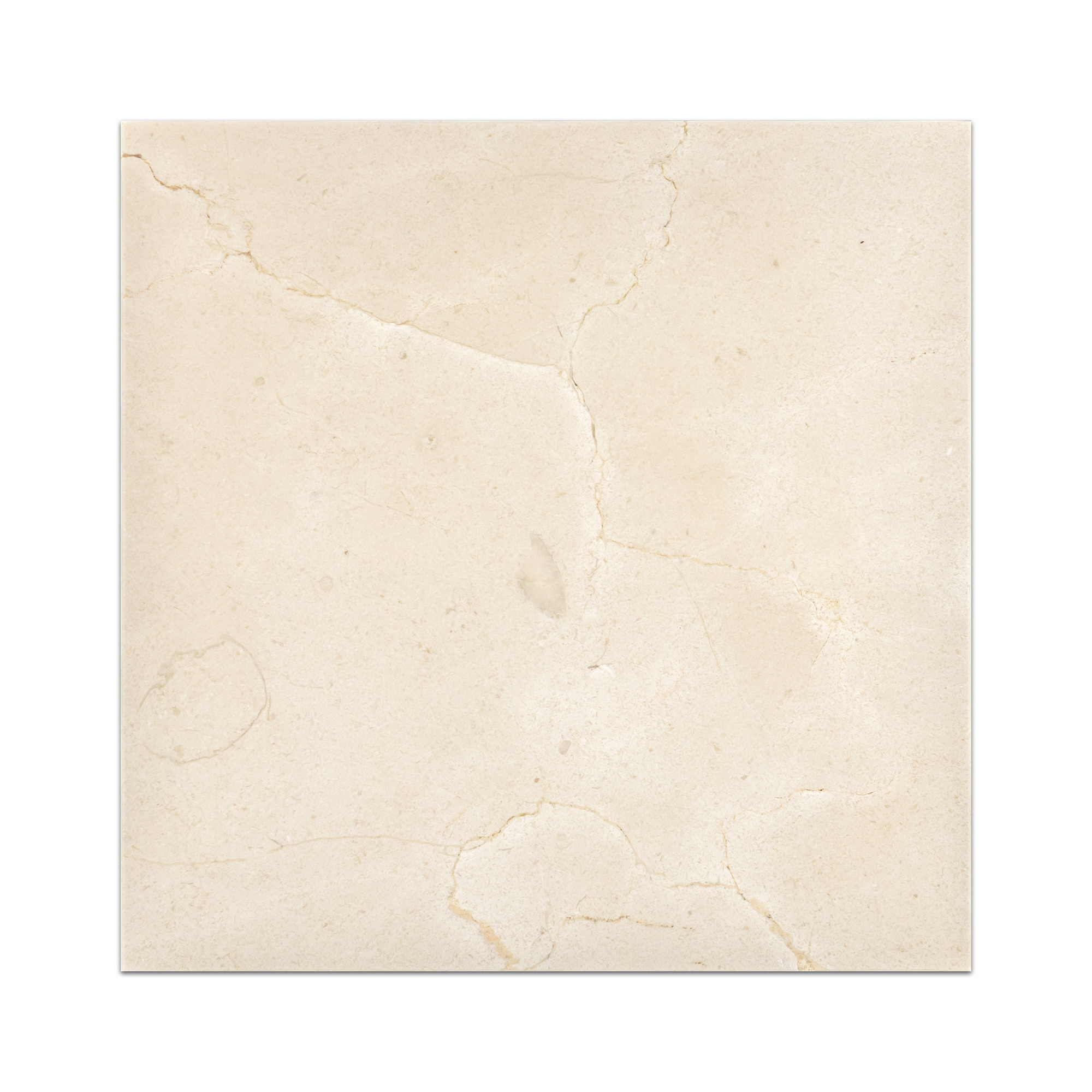 Elon Prairie Marble Square Field Tile 12x12x0.375 Honed - Surface Group Online Tile Store