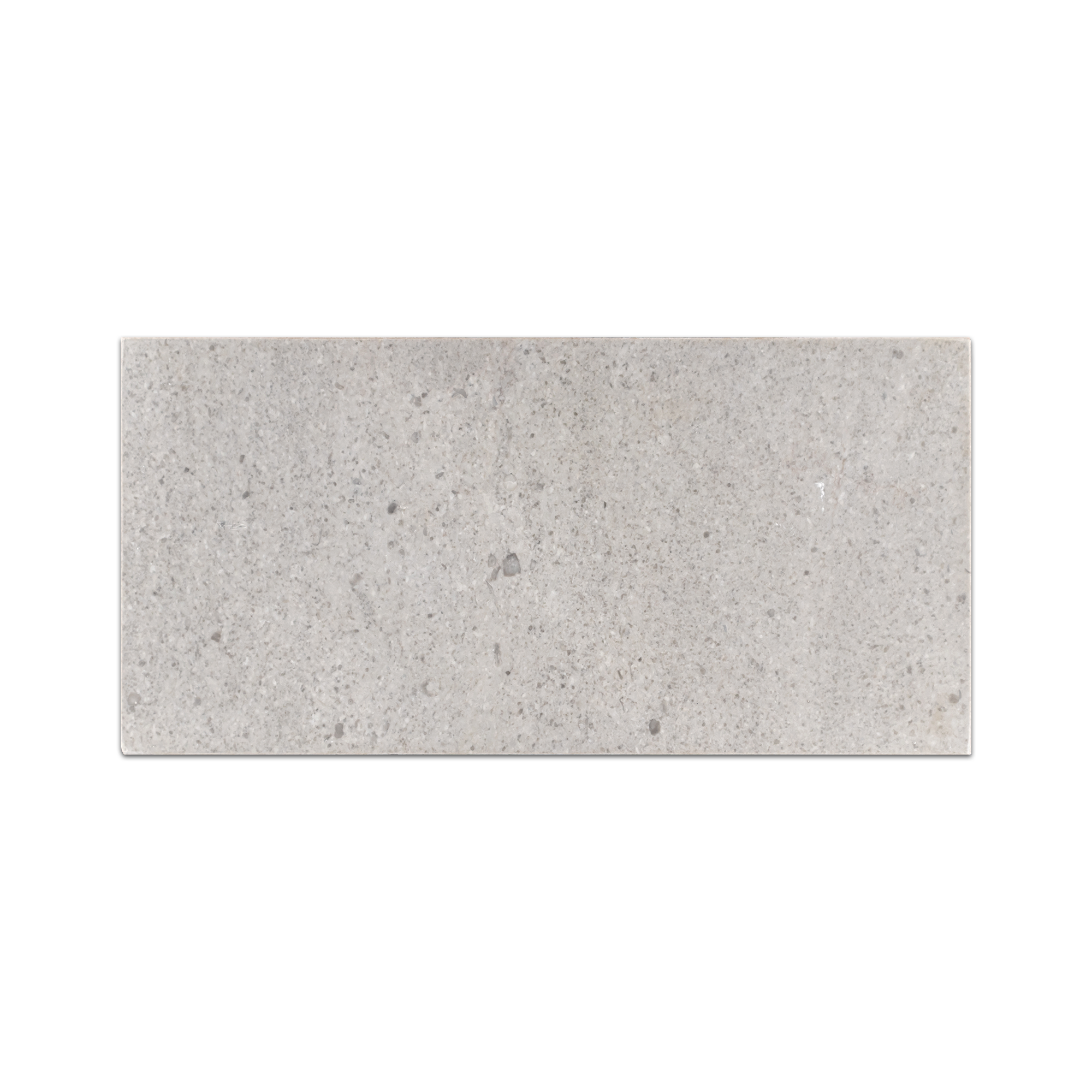 Elon Sand Dollar Marble Rectangle Field Tile 6x12x0.375 Polished - Surface Group International
