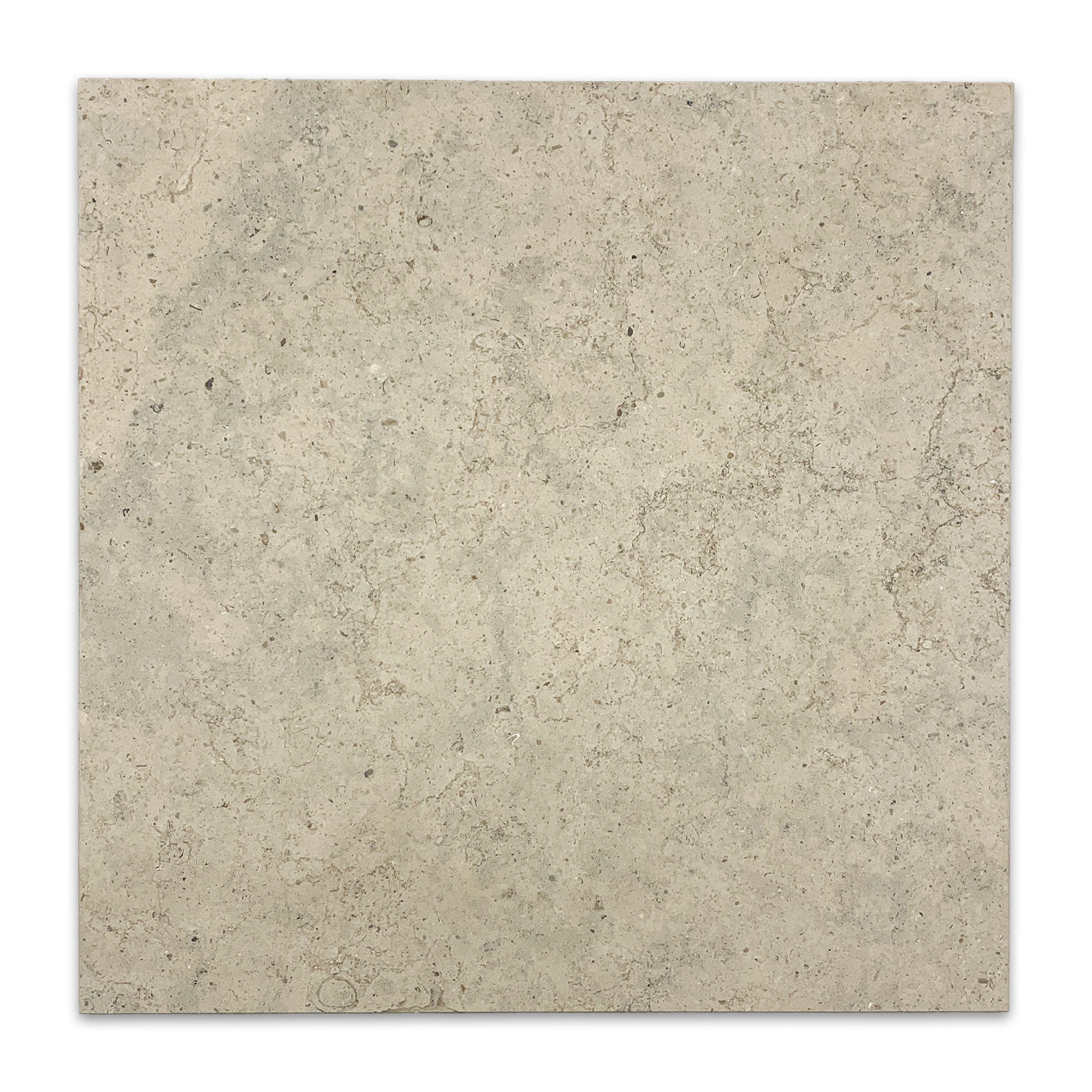 Elon Ville Sur Mer Limestone Square Field Tile 16x16x0.375 Honed PL416 Surface Group International Product