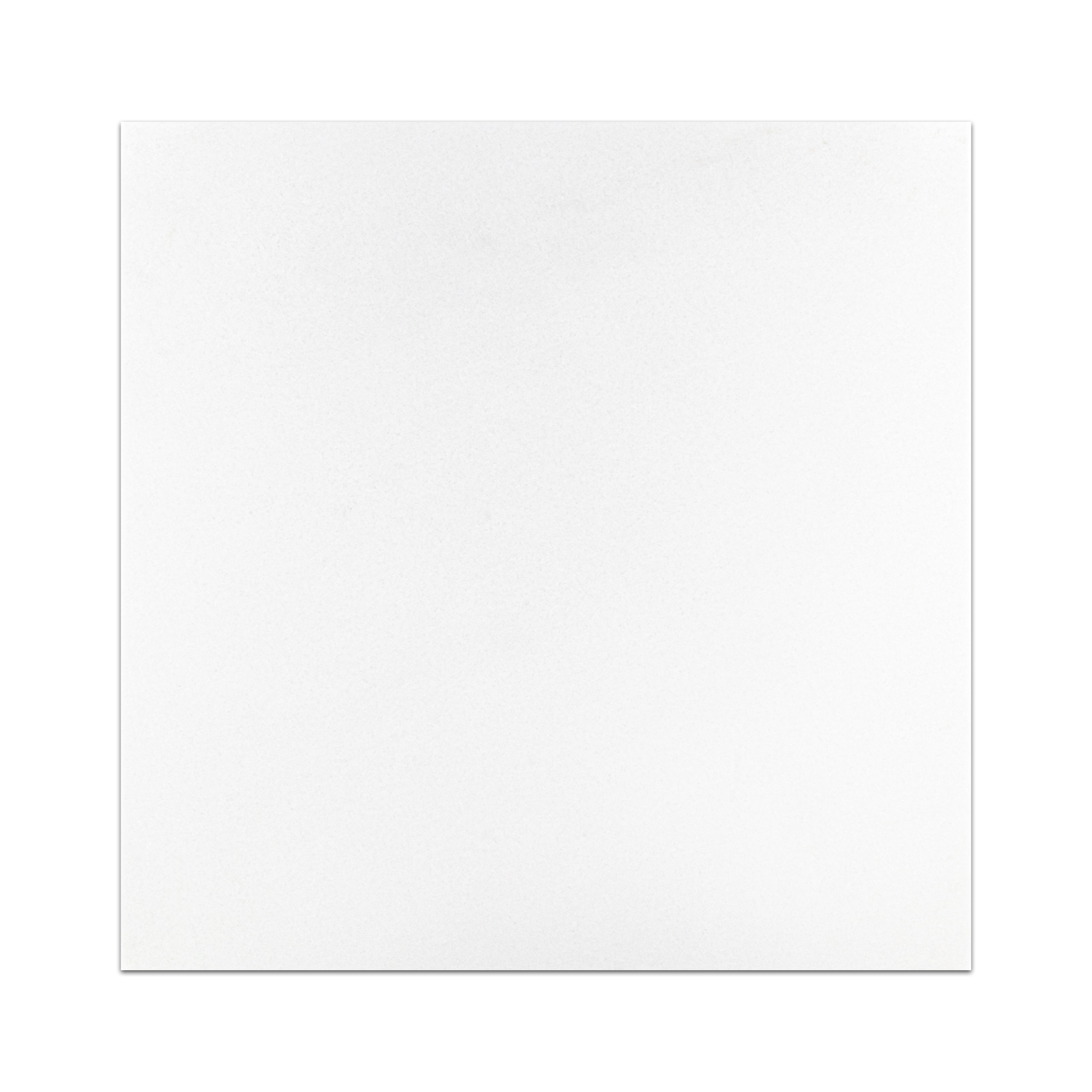Elon White Thassos Marble Square Field Tile 12x12x0.375 Honed - Surface Group International