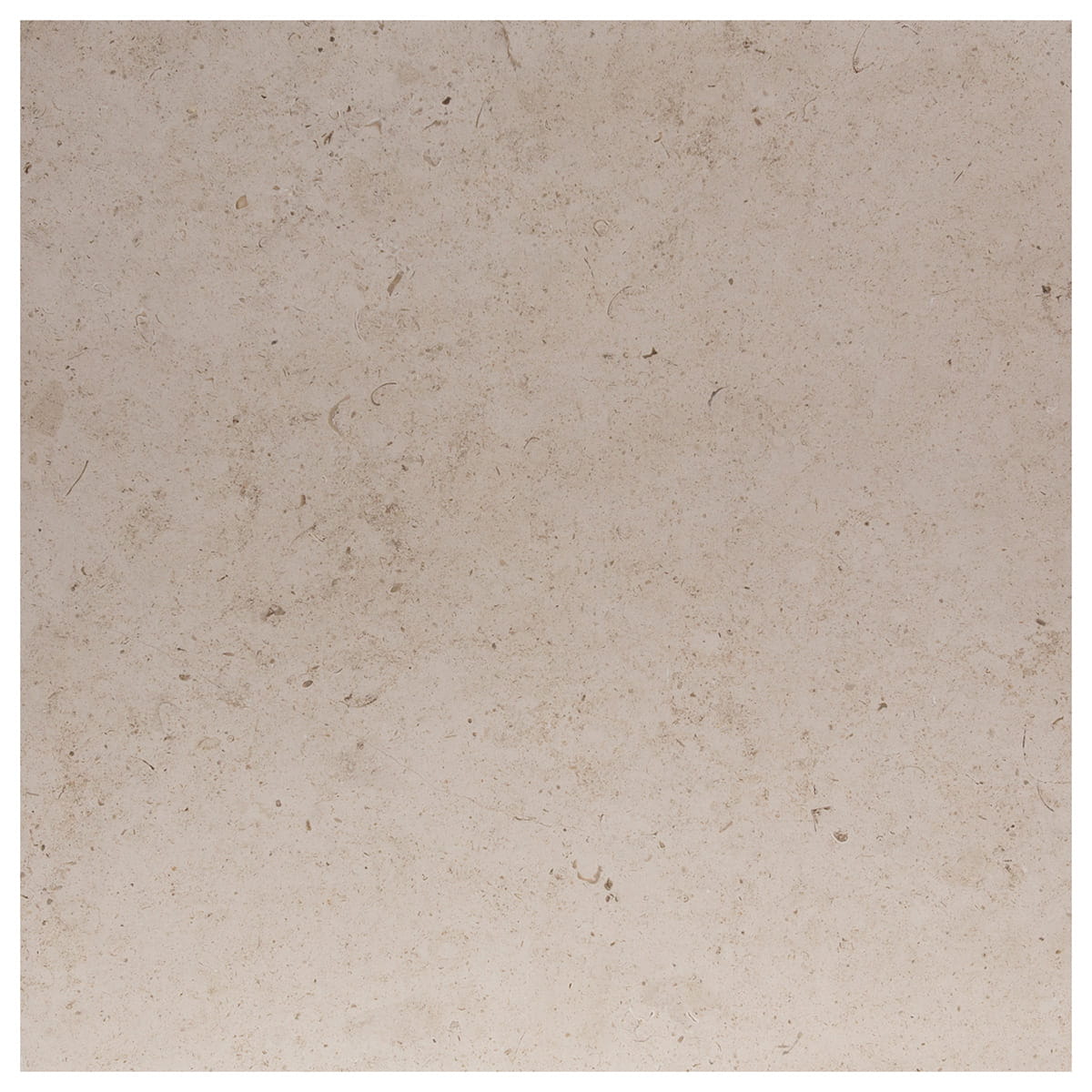 haussmann belair porto beige limestone square natural stone field tile 18x18 honed
