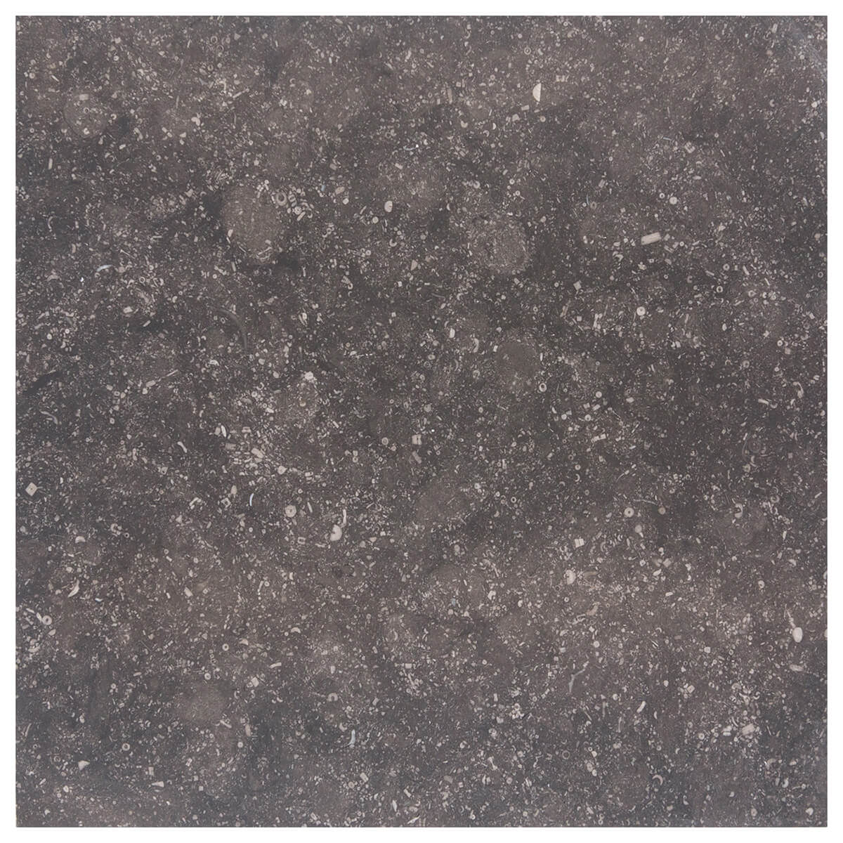 haussmann noir sully limestone square natural stone field tile 12x12 honed