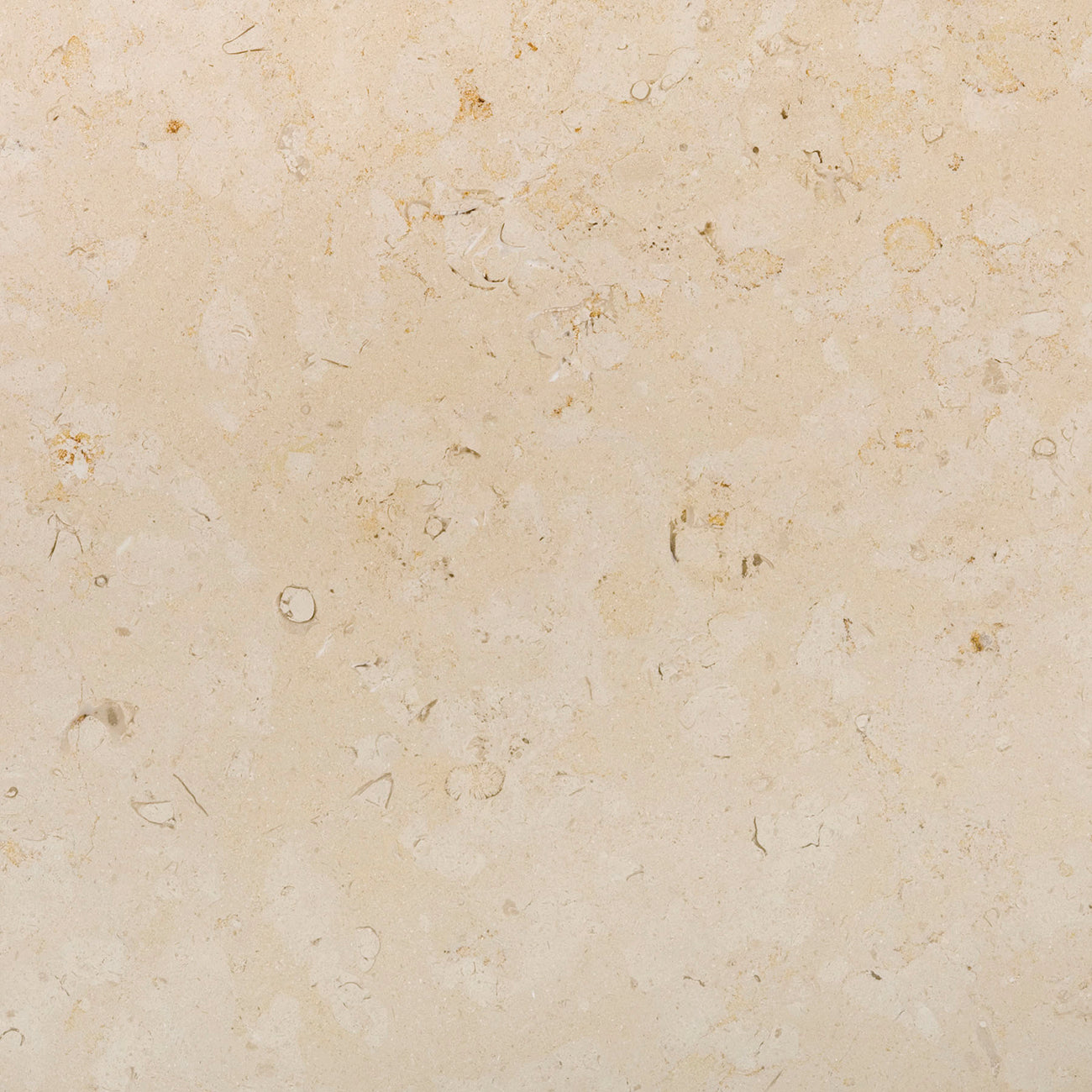 haussmann sainte croix limestone square natural stone field tile 18x18 honed