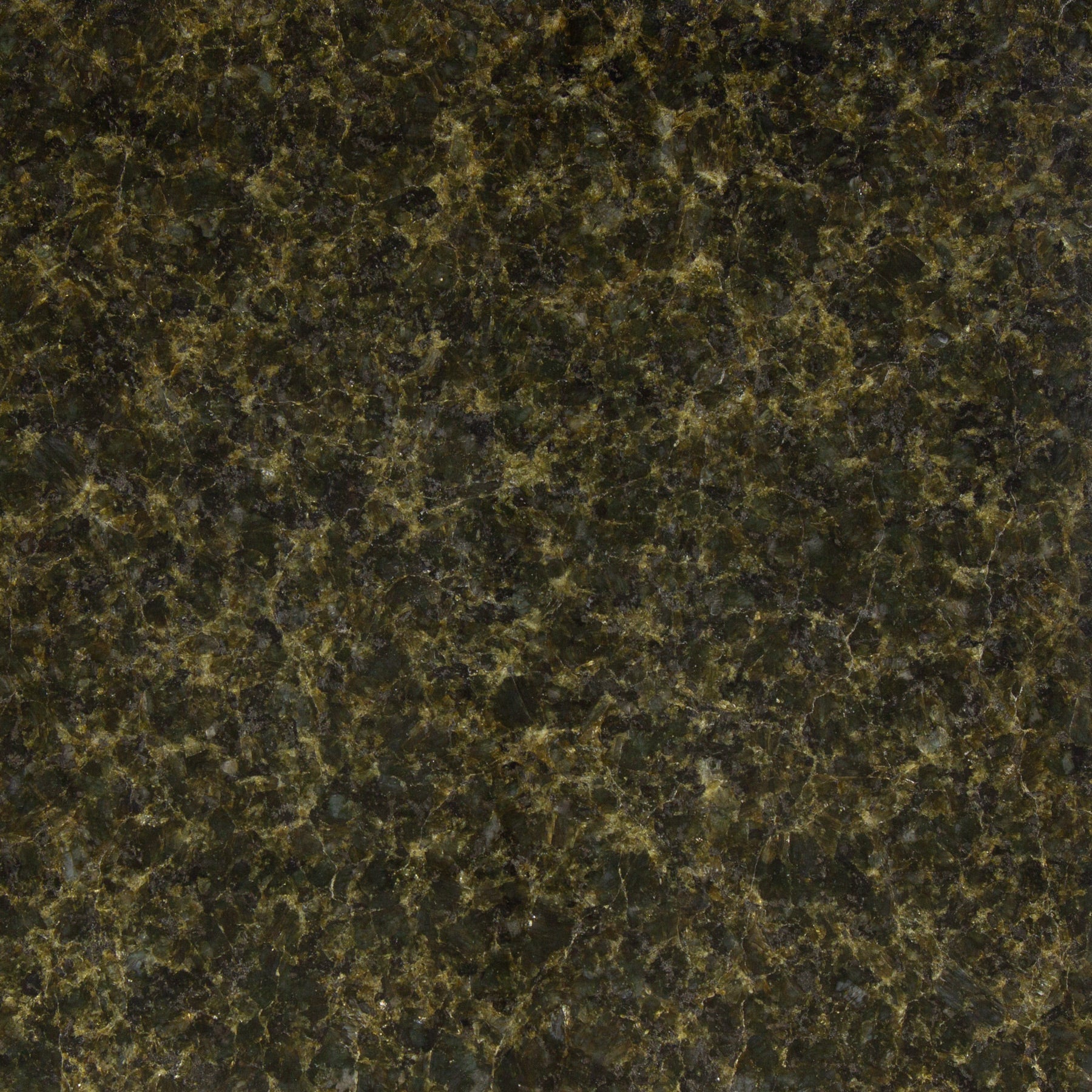 VERDE BUTTERFLY: Granite Square Field Tile (12"x12"x3/8" | Polished)