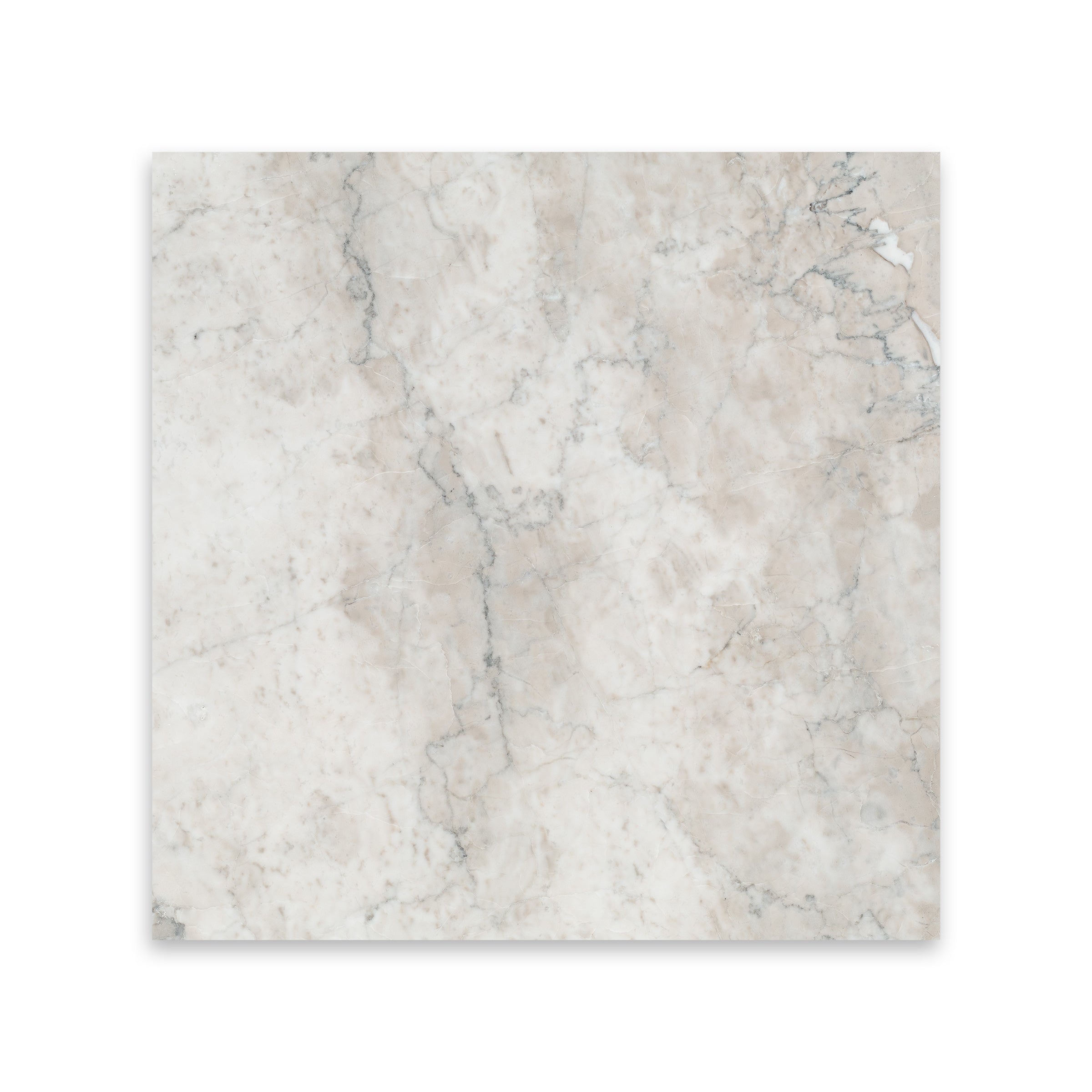TEMPLE GREY: Marble Square Field Tile (12"x12"x3/8" | Polished)