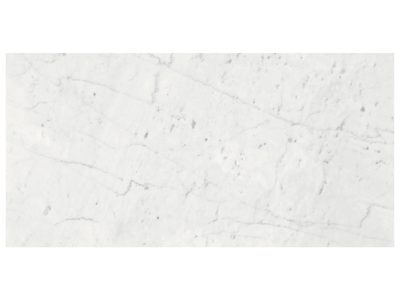 anatolia marble eterna bianco natural stone field tile polished straight edge rectangle 12x24 sold by surface group international