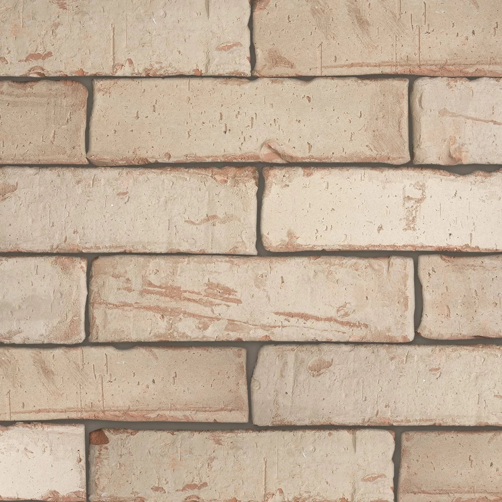 ANTICO TERRACOTTA: Beige Brick Field Tile (2⅝"x9⅝"x⅝" | Natural)