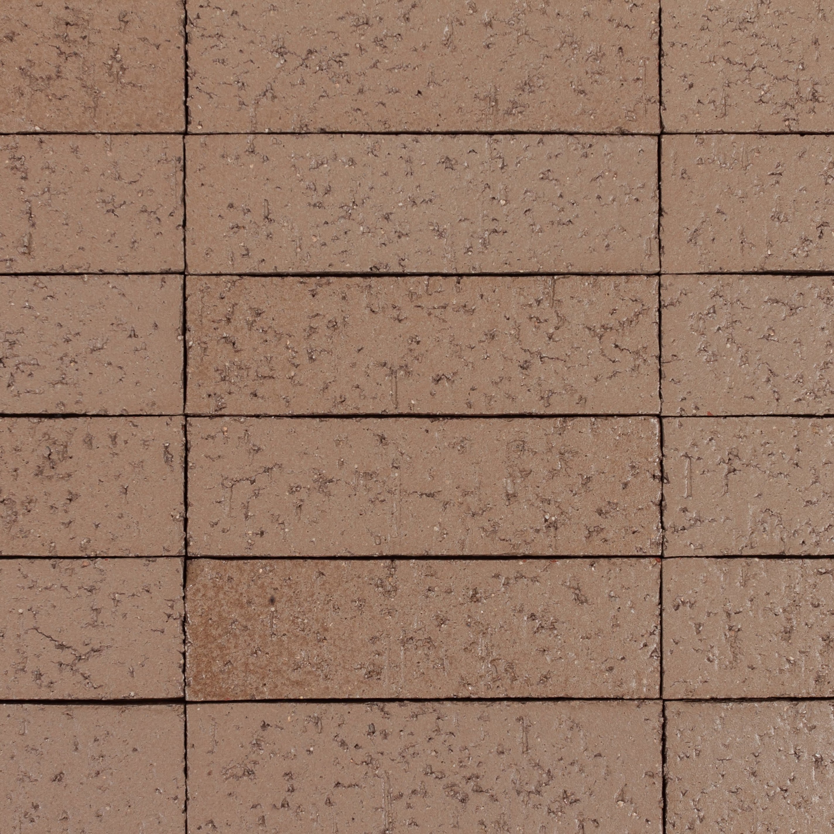 Arto Glazed Brick: Nutshell  (Flat 2¼"x7⅝"x⅝")