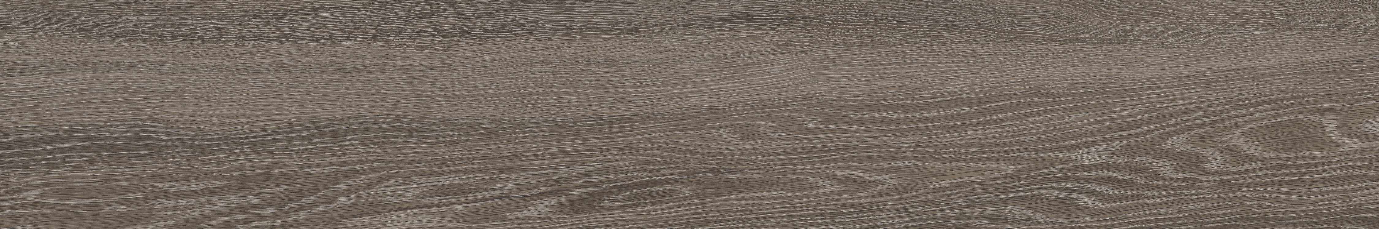 sequoia pattern glazed porcelain field tile from aspen anatolia collection distributed by surface group international matte finish rectified edge 8x48 rectangle shape
