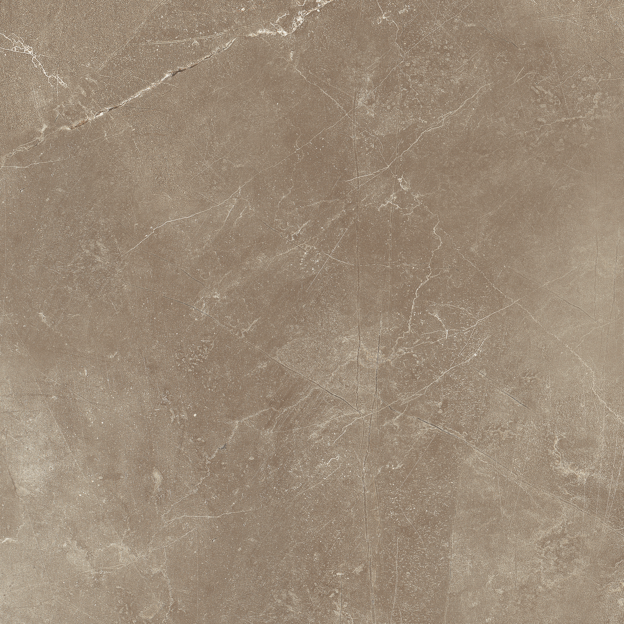 pulpis moca pattern glazed porcelain field tile from classic anatolia collection distributed by surface group international matte finish pressed edge 12x12 square shape