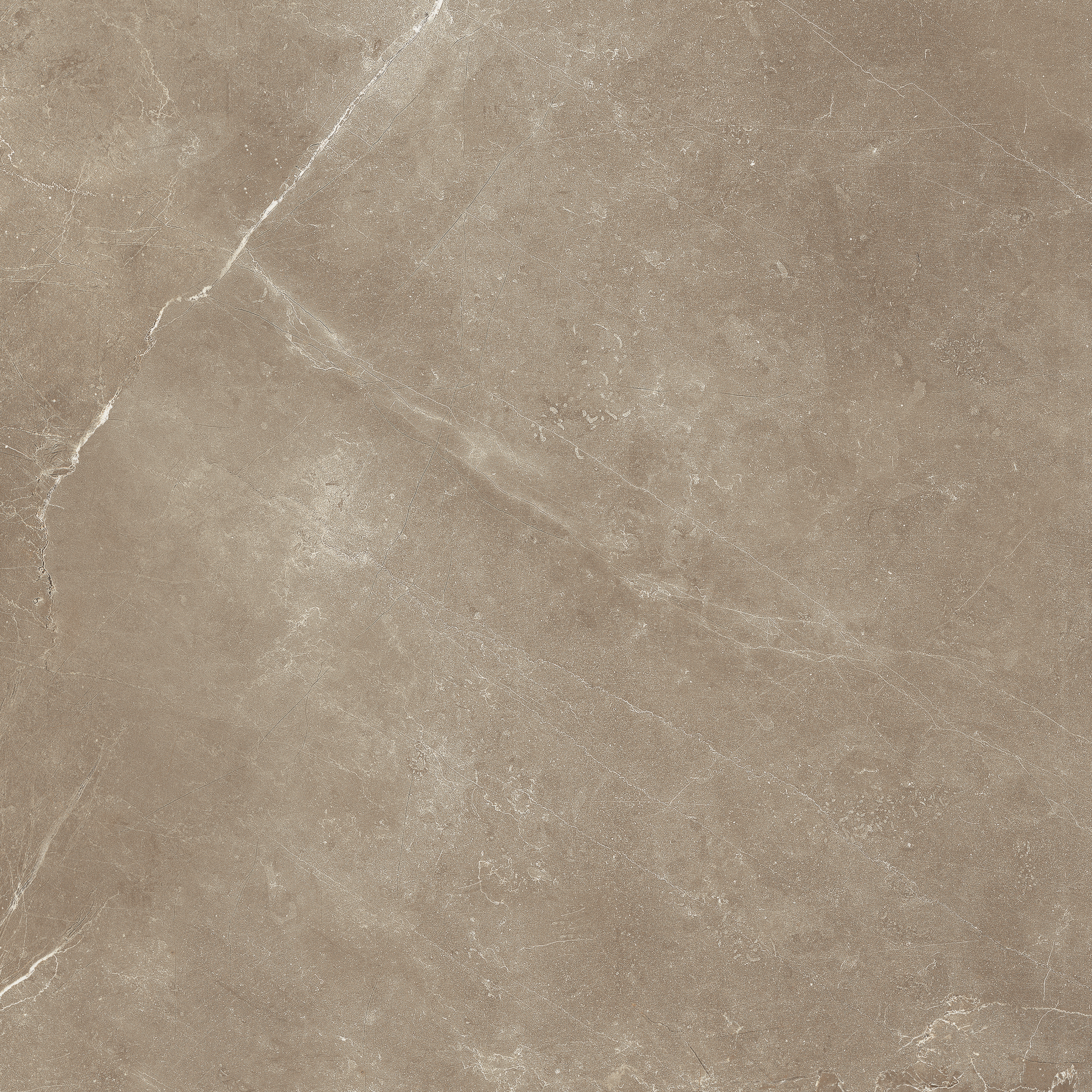 pulpis moca pattern glazed porcelain field tile from classic anatolia collection distributed by surface group international matte finish pressed edge 18x18 square shape