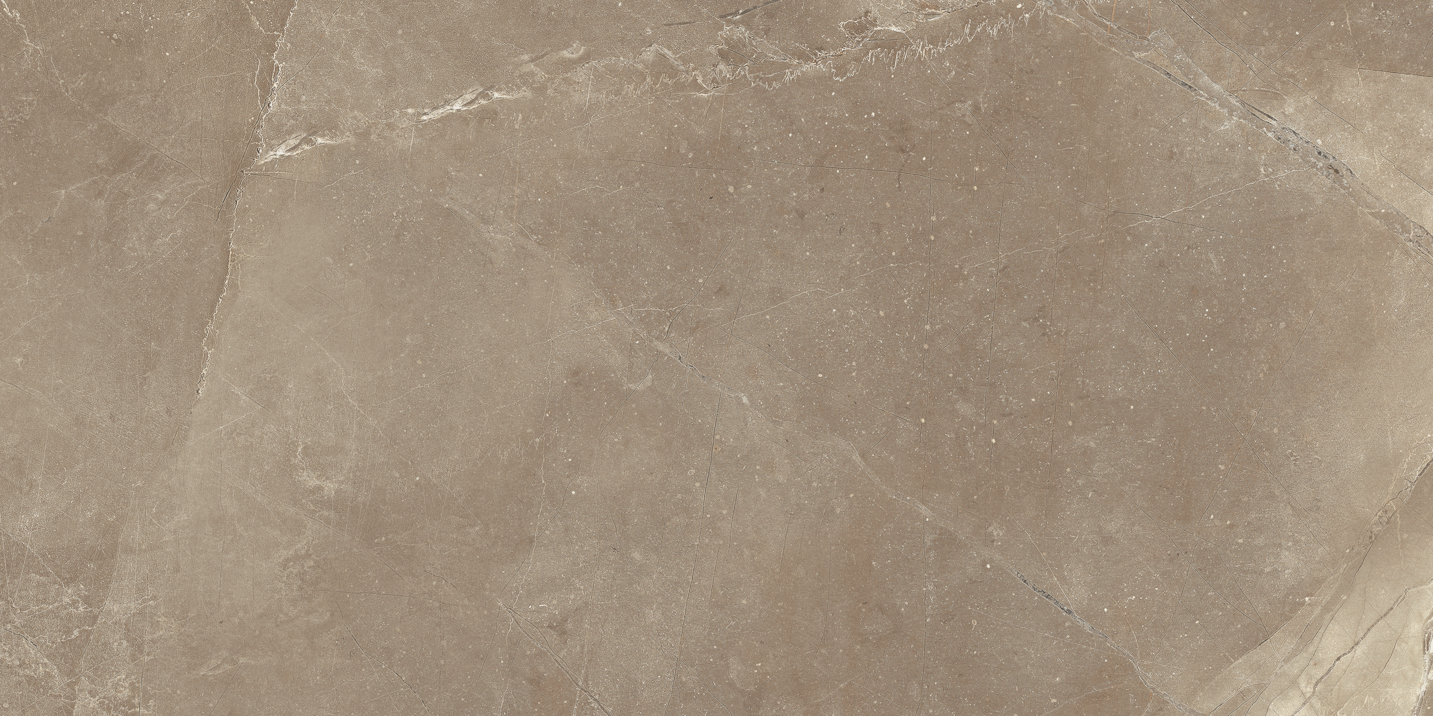 pulpis moca pattern glazed porcelain field tile from classic anatolia collection distributed by surface group international matte finish pressed edge 12x24 rectangle shape