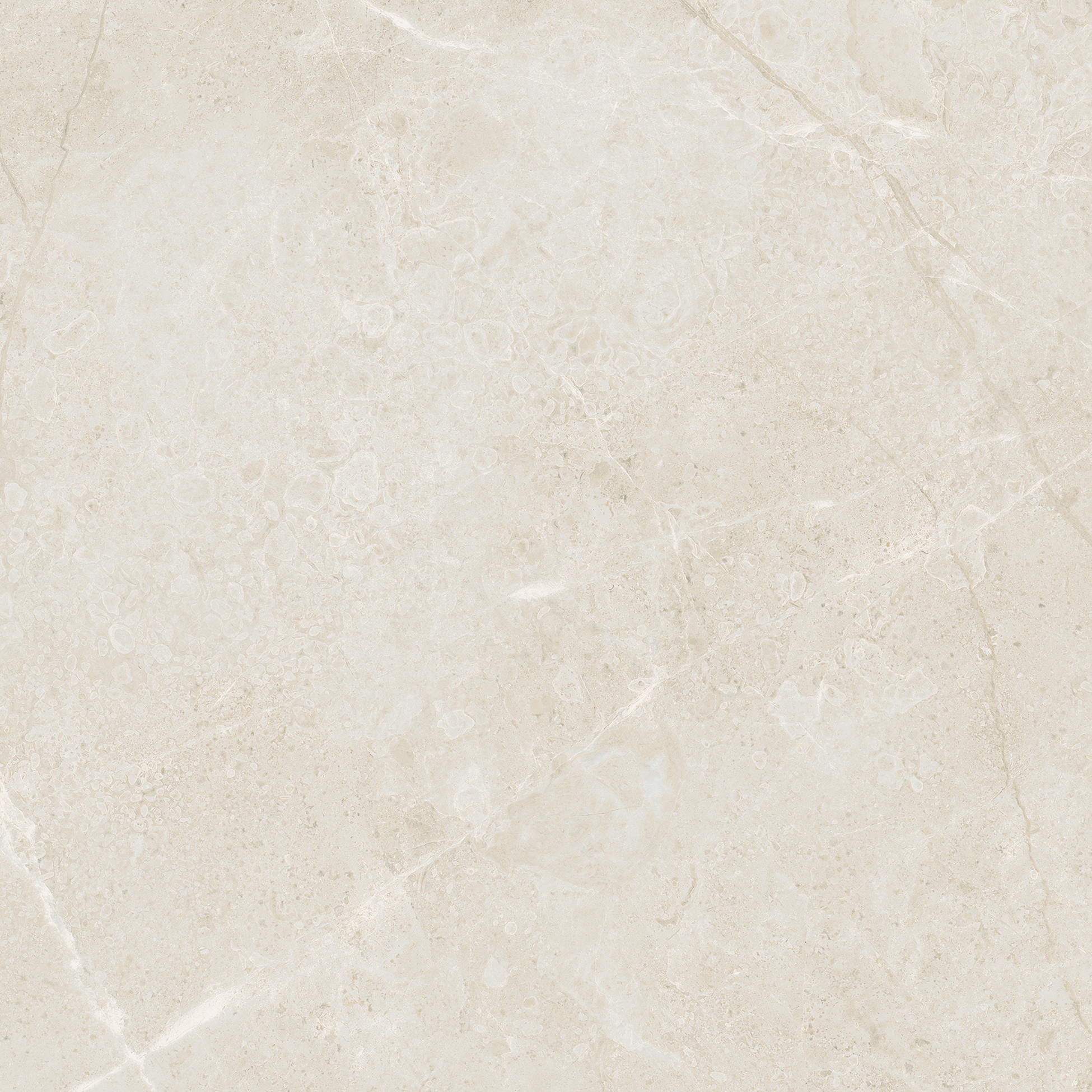 avorio pattern glazed porcelain field tile from torino anatolia collection distributed by surface group international matte finish pressed edge 13x13 square shape