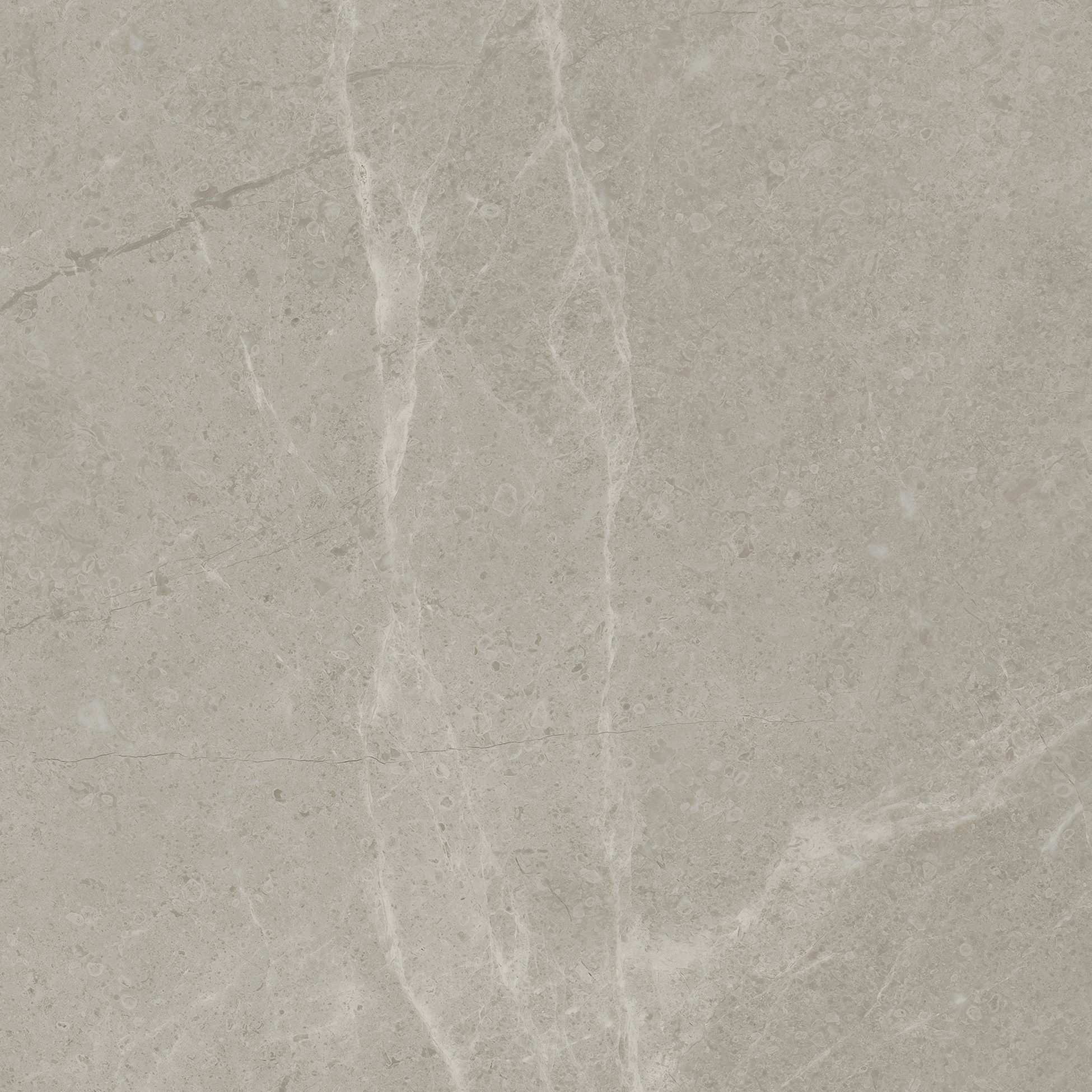 vanizio pattern glazed porcelain field tile from torino anatolia collection distributed by surface group international matte finish pressed edge 13x13 square shape
