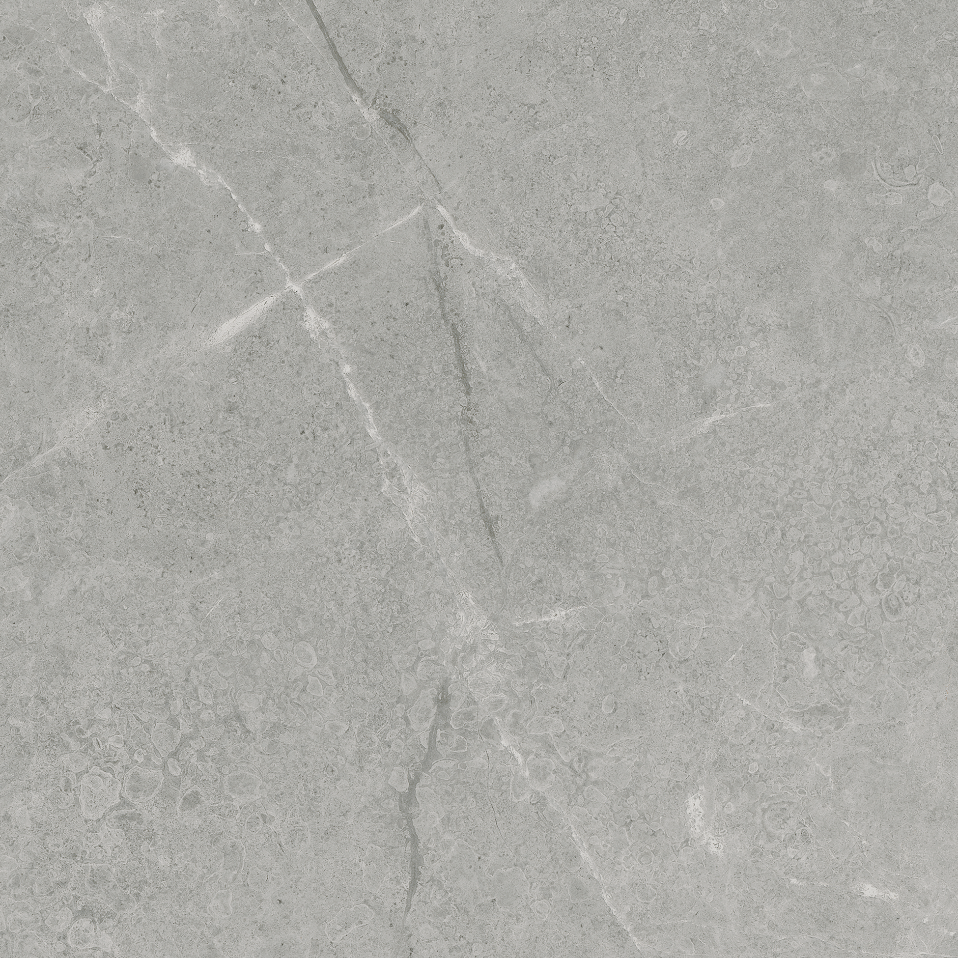 argento pattern glazed porcelain field tile from torino anatolia collection distributed by surface group international matte finish pressed edge 13x13 square shape