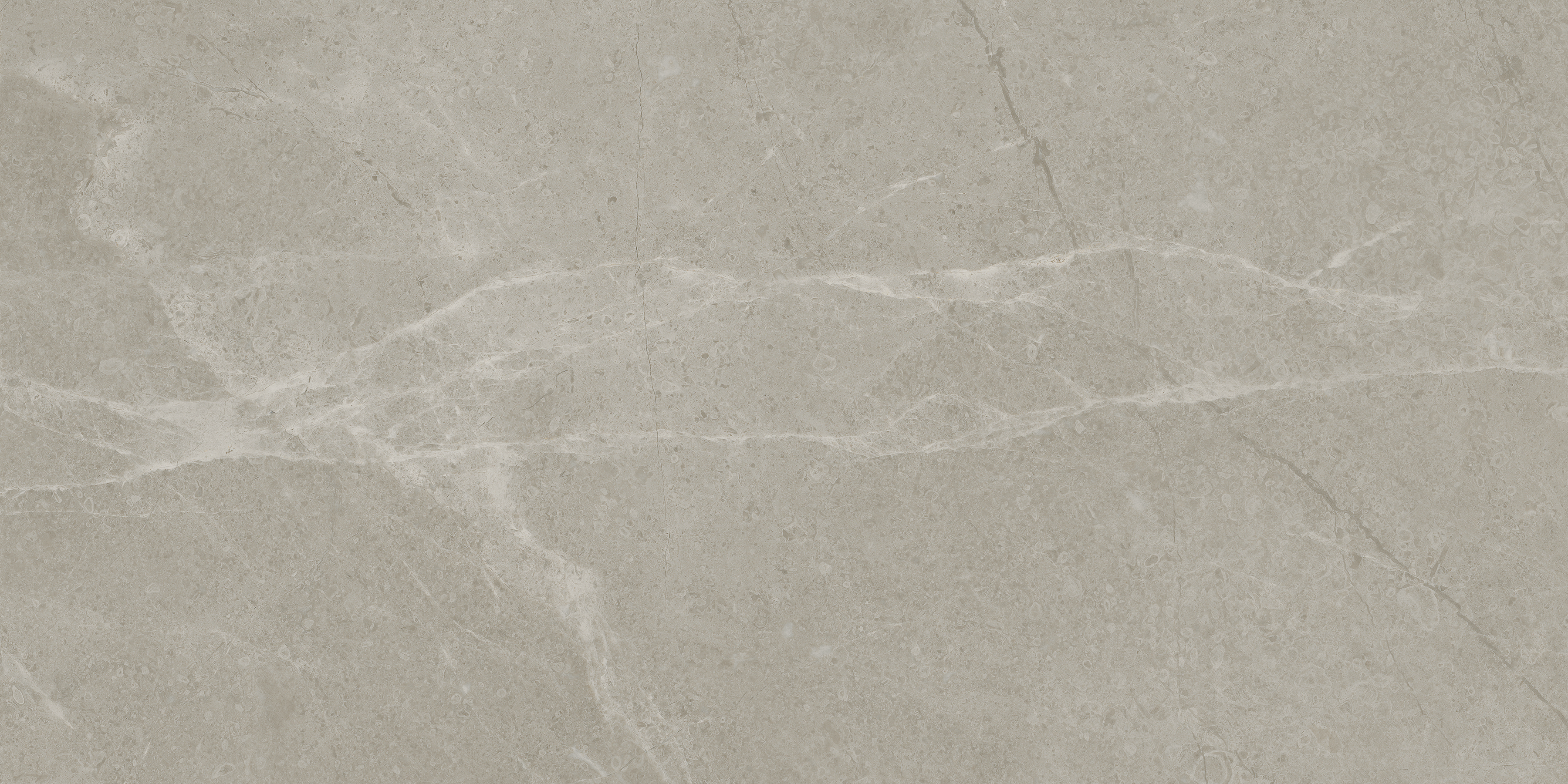 vanizio pattern glazed porcelain field tile from torino anatolia collection distributed by surface group international matte finish pressed edge 12x24 rectangle shape