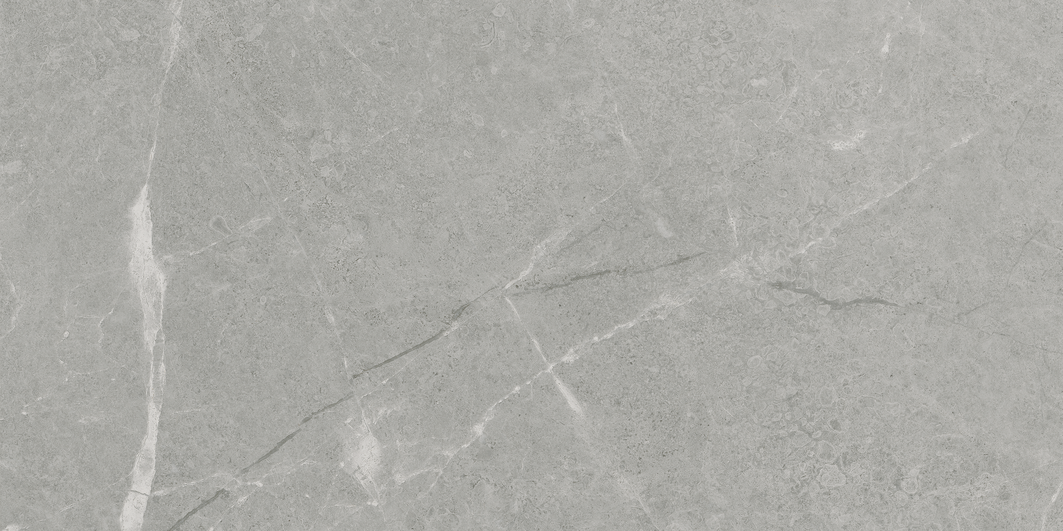 argento pattern glazed porcelain field tile from torino anatolia collection distributed by surface group international matte finish pressed edge 12x24 rectangle shape