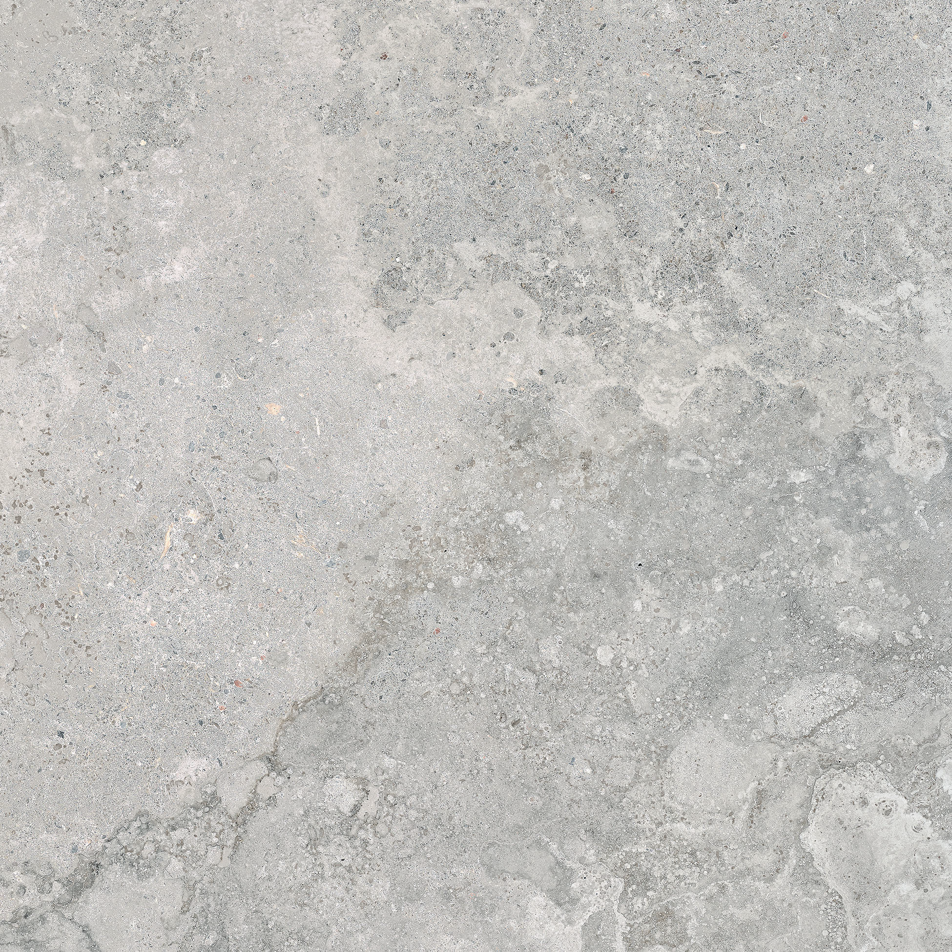 argento pattern glazed porcelain field tile from veneta anatolia collection distributed by surface group international matte finish pressed edge 13x13 square shape