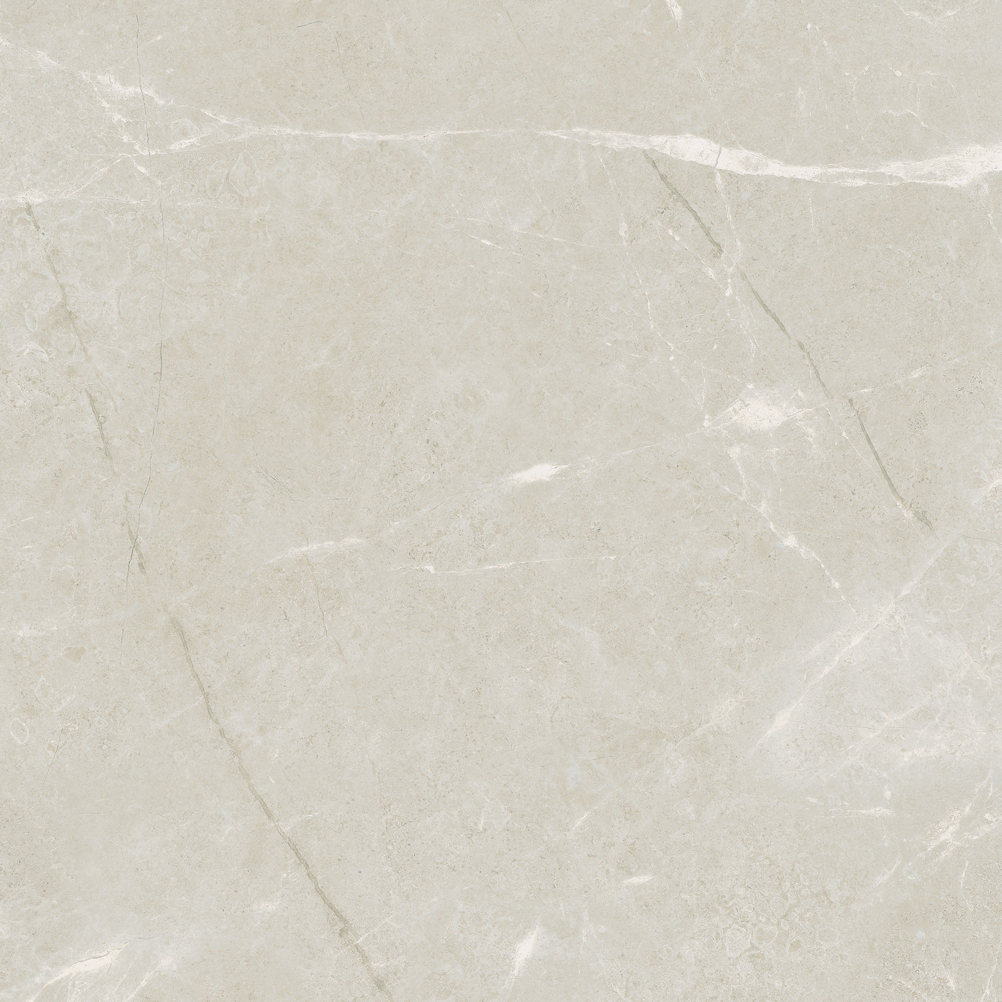 avorio pattern glazed porcelain field tile from torino anatolia collection distributed by surface group international matte finish pressed edge 20x20 square shape